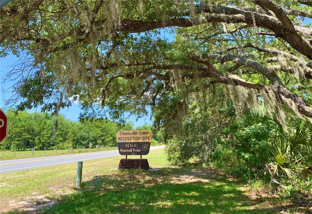 43740 Sunset Drive Paisley, FL 32767 - Photo 31 of 34