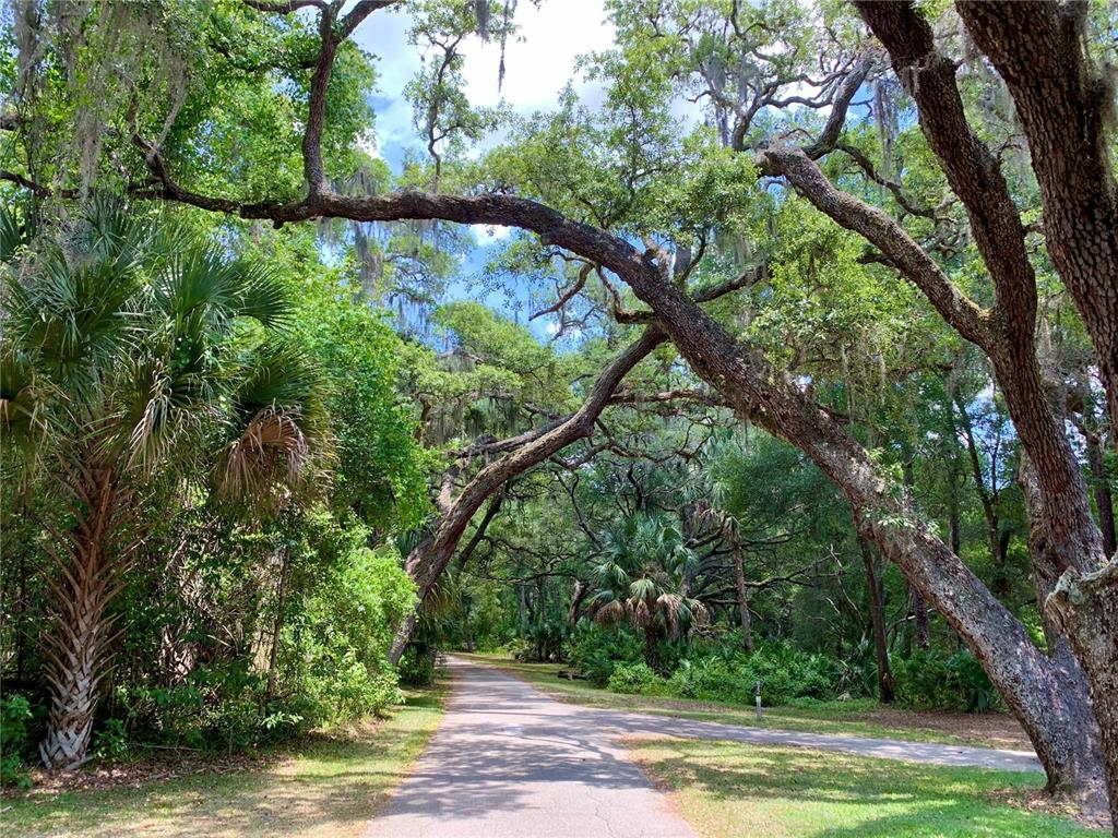 43740 Sunset Drive Paisley, FL 32767 - Photo 32 of 34