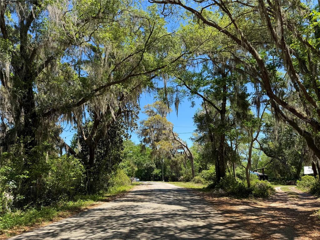 43740 Sunset Drive Paisley, FL 32767 - Photo 6 of 34