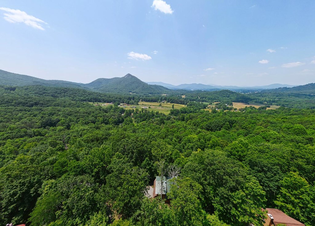 2529 Hunter Road Hiawassee, GA 30546 - Photo 30 of 52