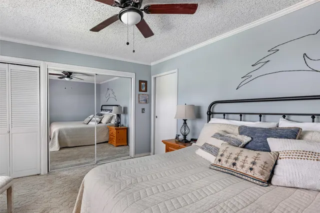 a living room with furniture ceiling fan and a rug