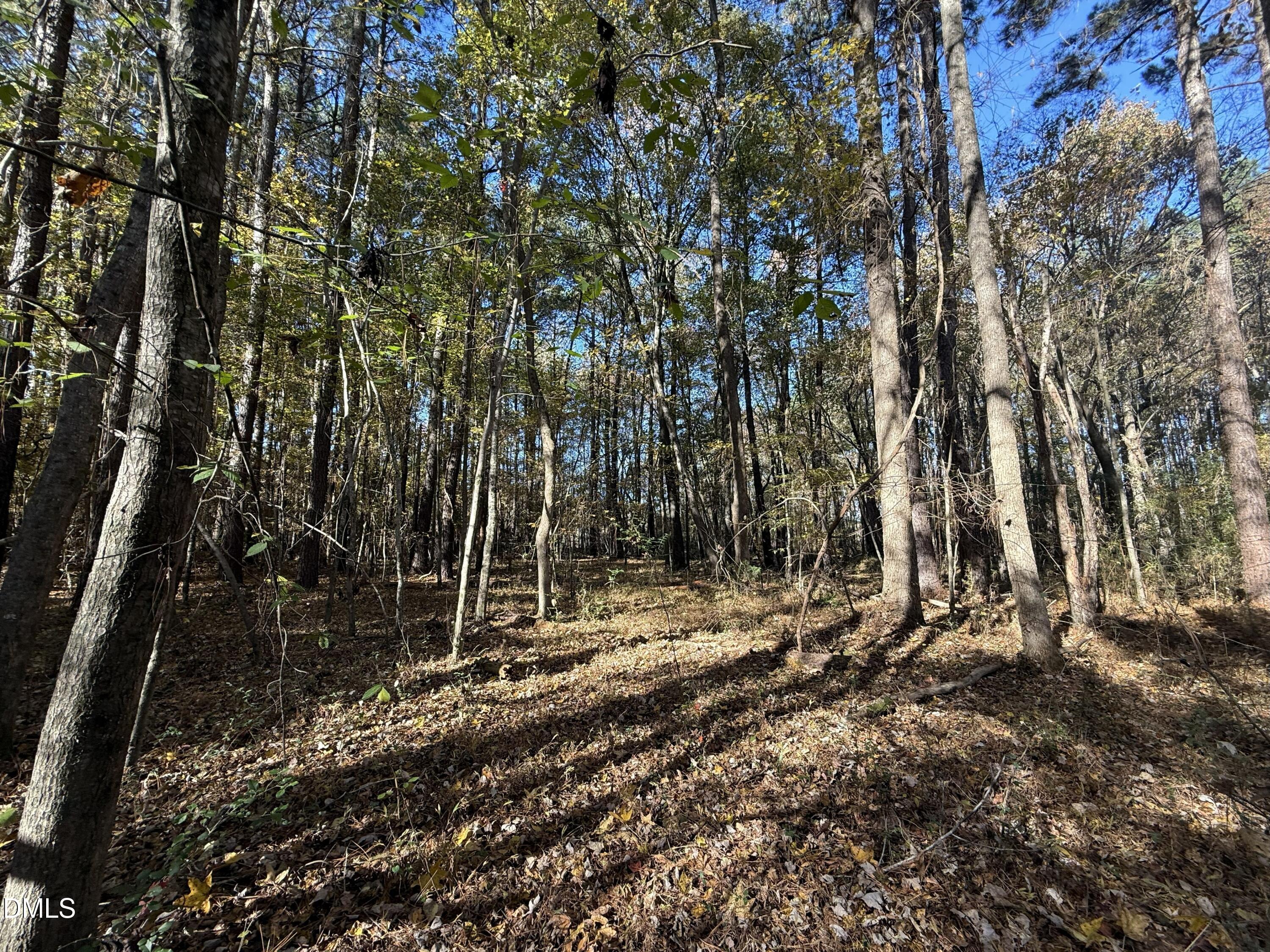 494 Bunn Elementary School Road Bunn, NC 27508 - Photo 11 of 20