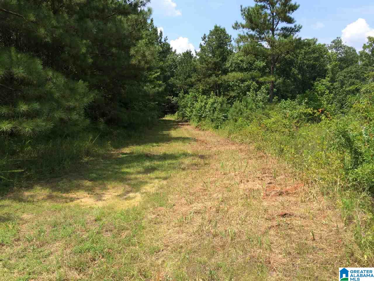 Spunky Hollow Road, Unit 18 7 Oneonta, AL 35121 - Photo 11 of 46