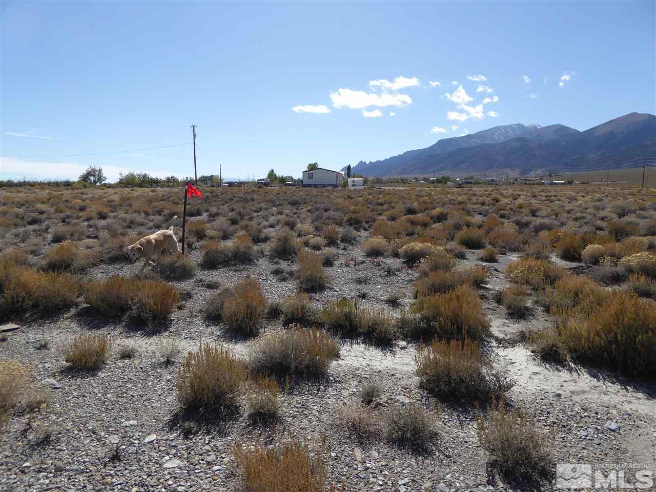3 Klamath Lane, Unit 8 Austin, NV 89310 - Photo 1 of 4 Photo 1