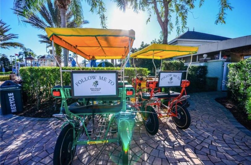 1109 Castle Pines Court Reunion, FL 34747 - Photo 24 of 24