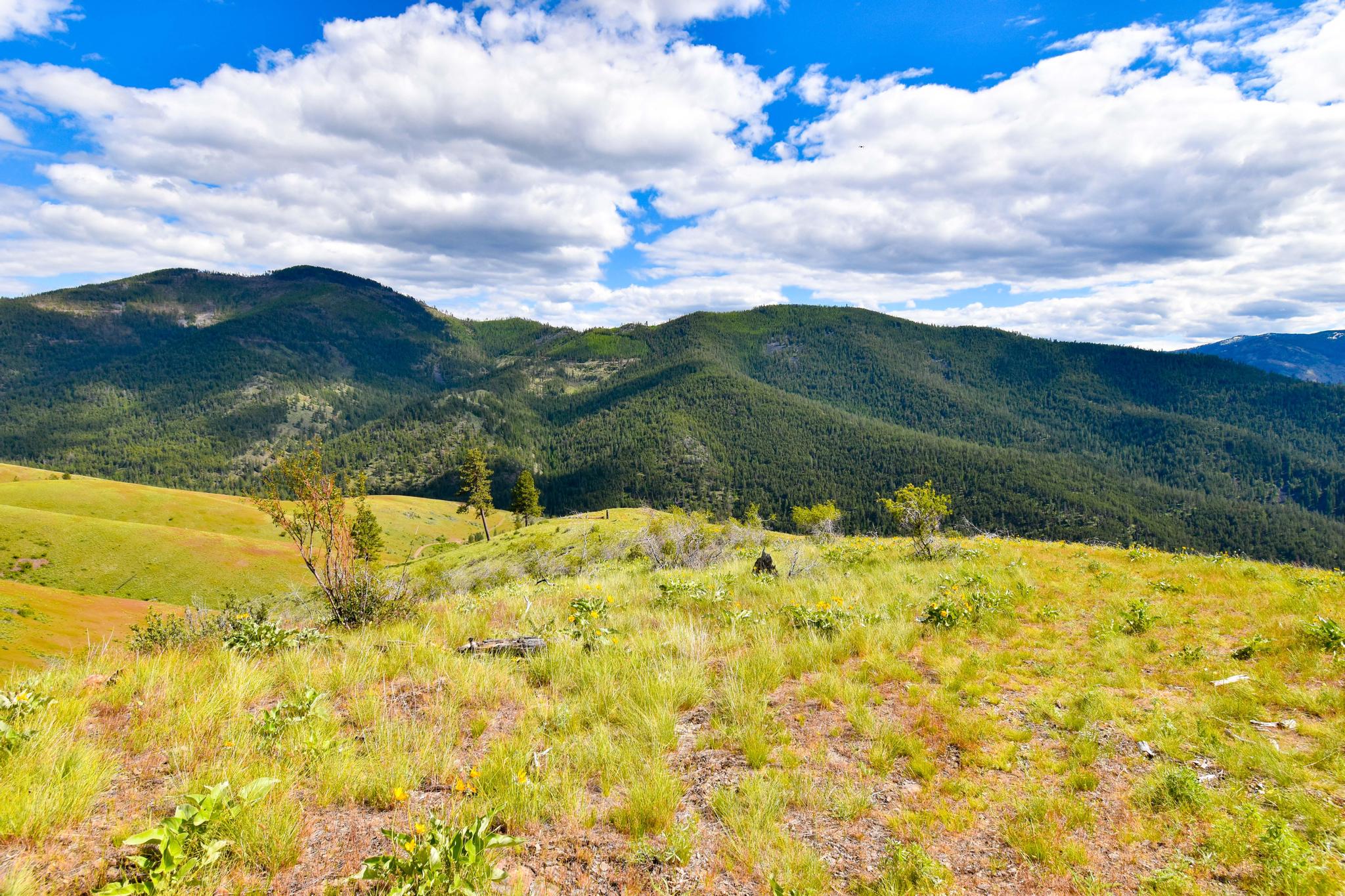 2 Henry Creek Road Plains, MT 59859 - Photo 6 of 40 Gallery Image 6