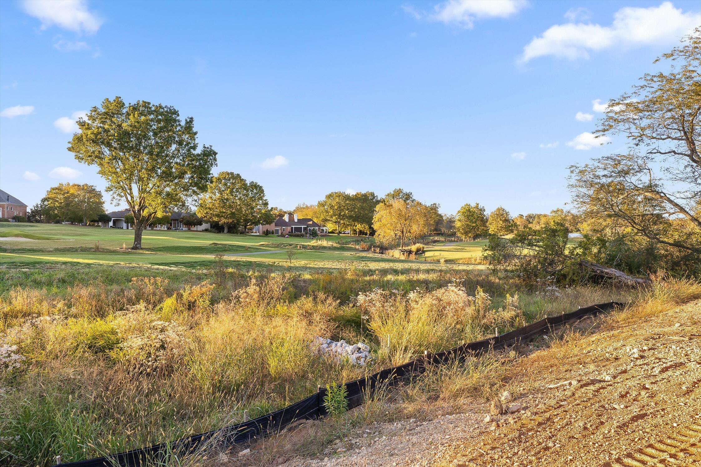545 Council Creek Lane, Unit LOT 9 Chattanooga, TN 37421 - Photo 9 of 24 066-Council Creek-65