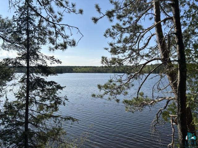 3506 Hanson Lk Road Ely, MN 55731 - Photo 4 of 26
