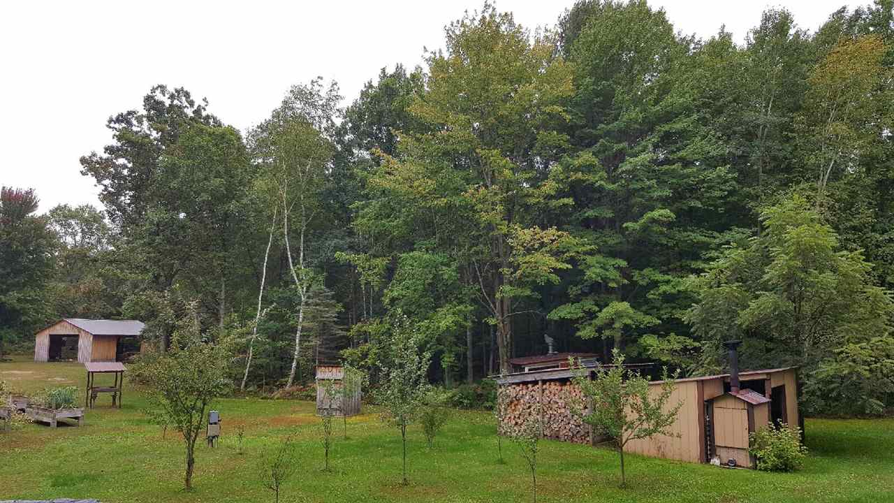 1077 South Dickenson Road Shepherd, MI 48883 - Photo 37 of 94 1823866-36.JPG