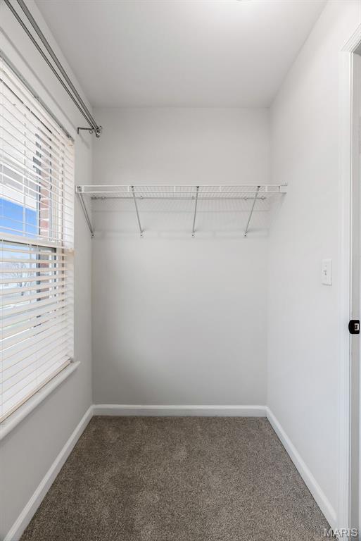 436 Olde Court Road St. Charles, MO 63303 - Photo 69 of 93