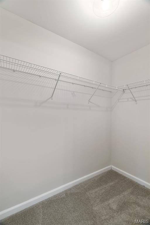 436 Olde Court Road St. Charles, MO 63303 - Photo 75 of 93