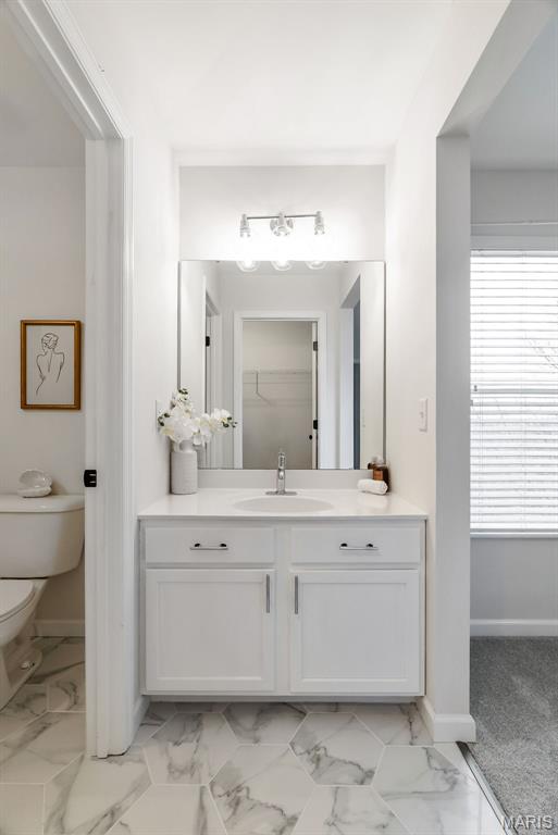 436 Olde Court Road St. Charles, MO 63303 - Photo 76 of 93