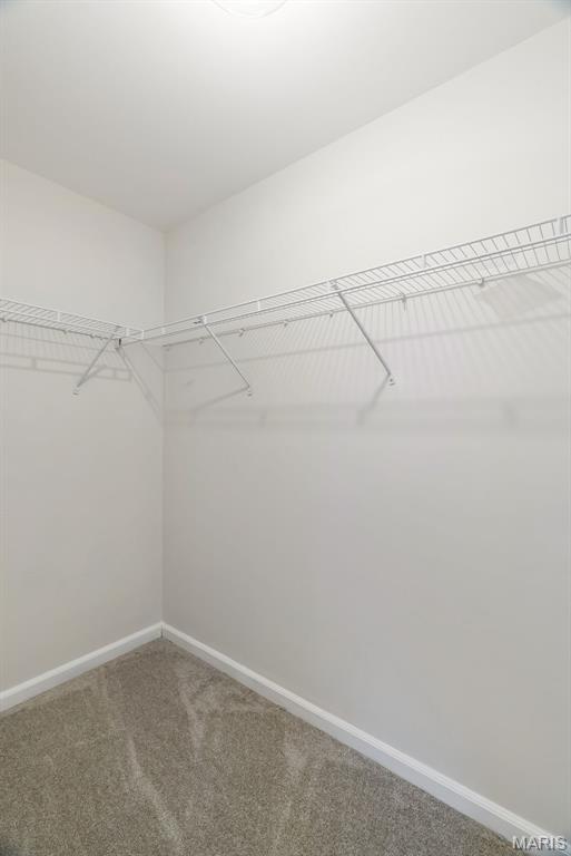 436 Olde Court Road St. Charles, MO 63303 - Photo 80 of 93