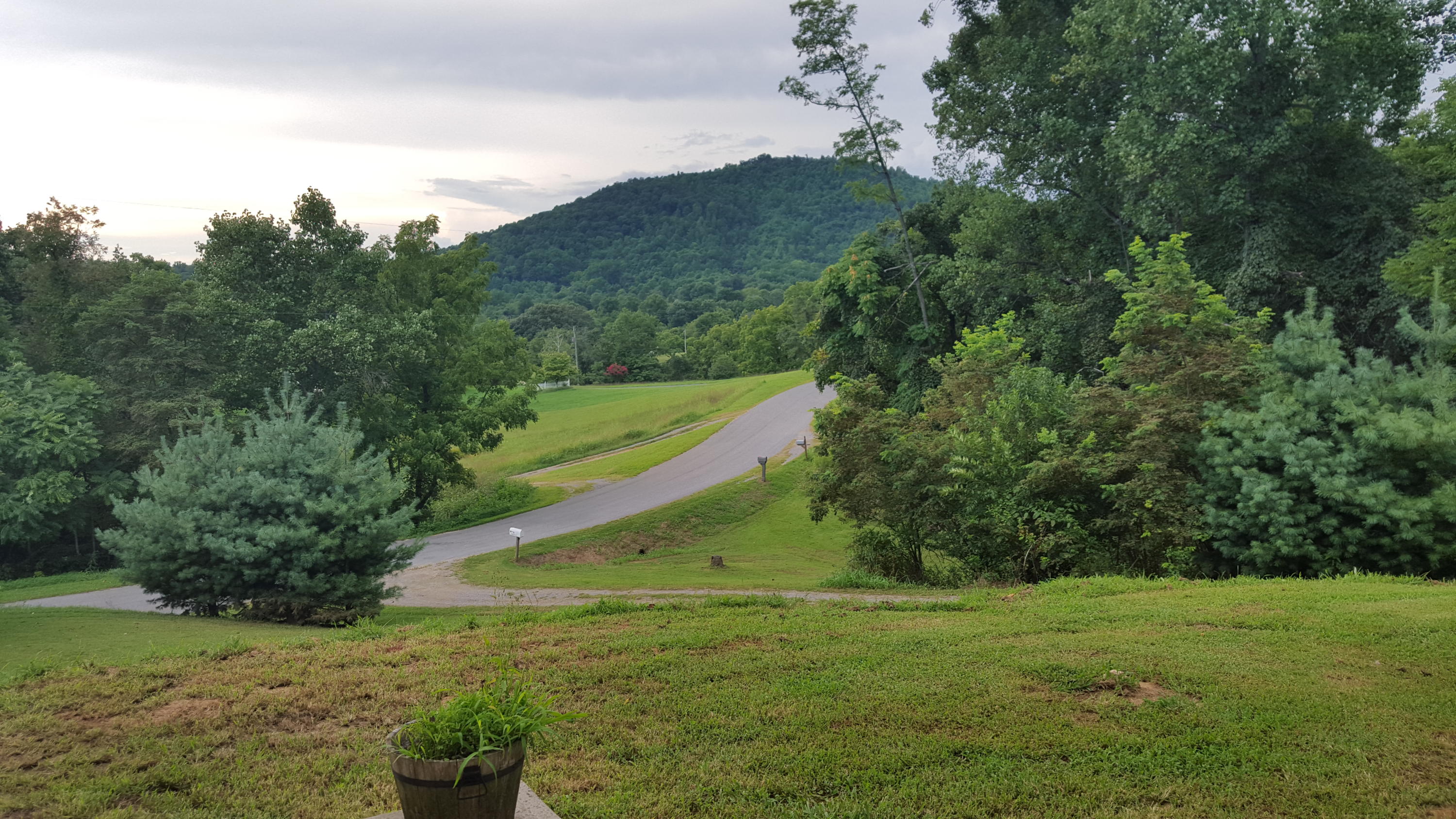 3062 Saunders Road Vinton, VA 24179 - Photo 25 of 40 a view of a field with a tree