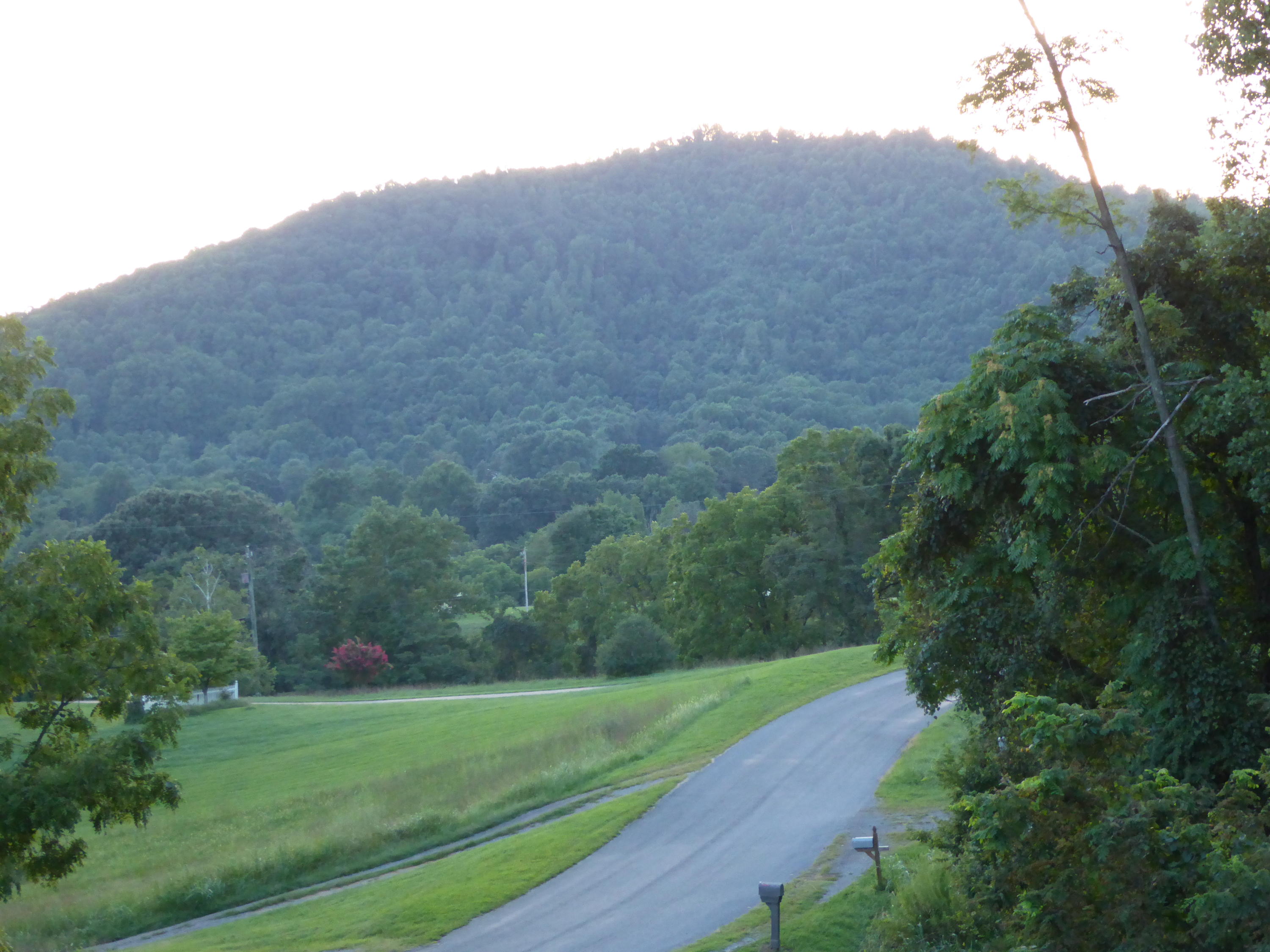3062 Saunders Road Vinton, VA 24179 - Photo 28 of 40 a view of a field of grass and trees
