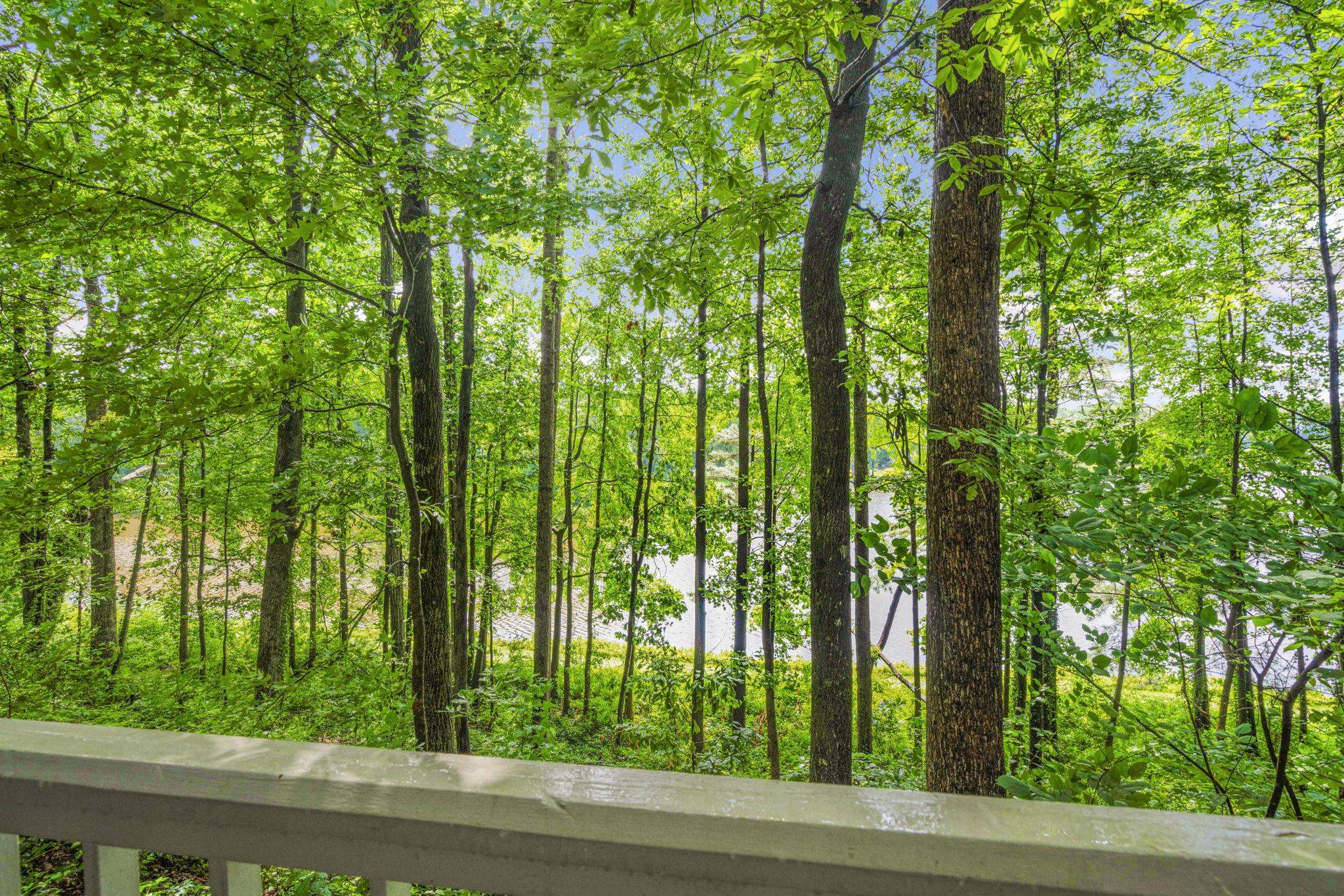 7500 Dartford Court, Unit 102 Raleigh, NC 27615 - Photo 34 of 36 a view of a yard with plants and trees