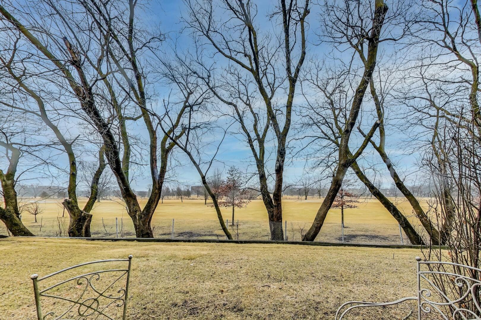 856 Old Checker Road Buffalo Grove, IL 60089 - Photo 29 of 31 a view of outdoor space and trees
