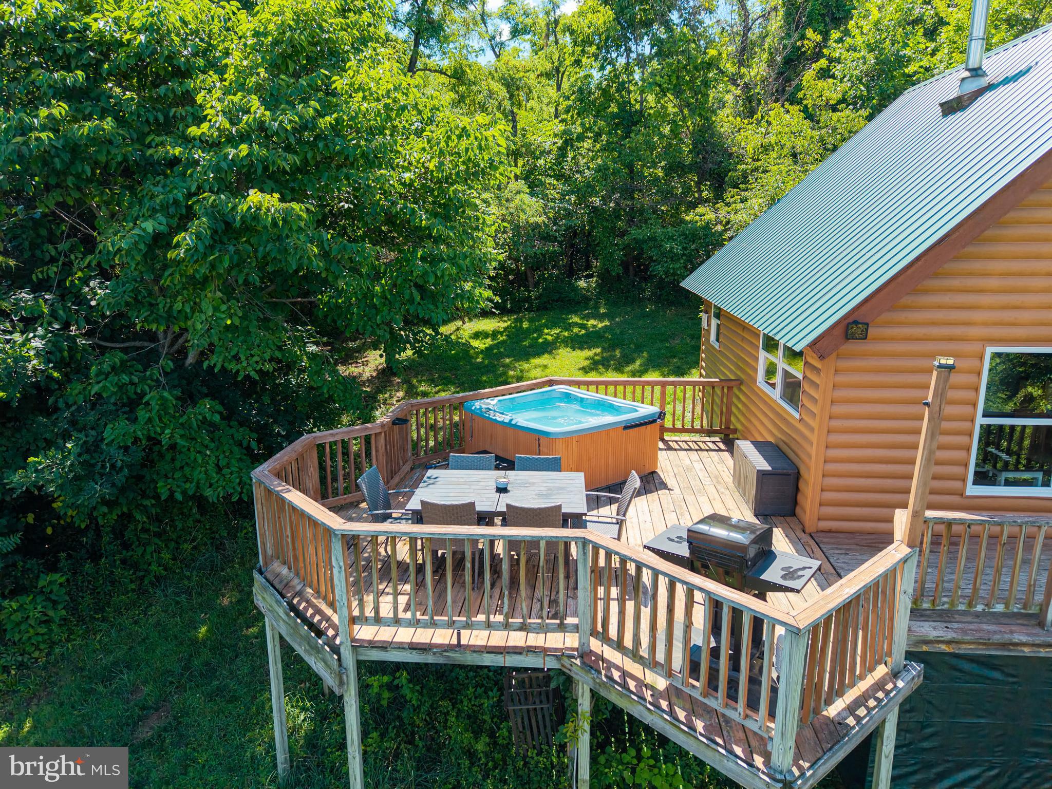 707 Overlook Drive Rileyville, VA 22650 - Photo 57 of 94