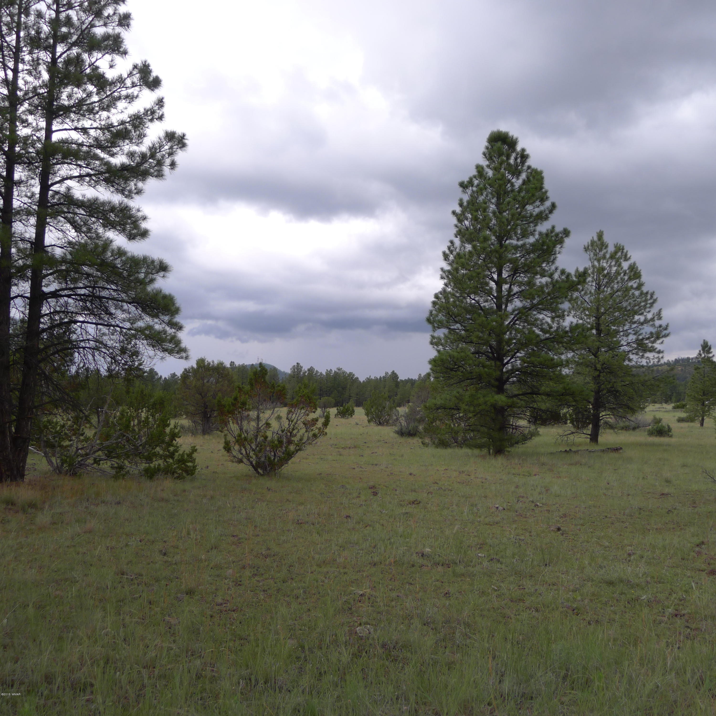 Lot B Thunderhorse Road Pinetop, AZ 85935 - Photo 2 of 3