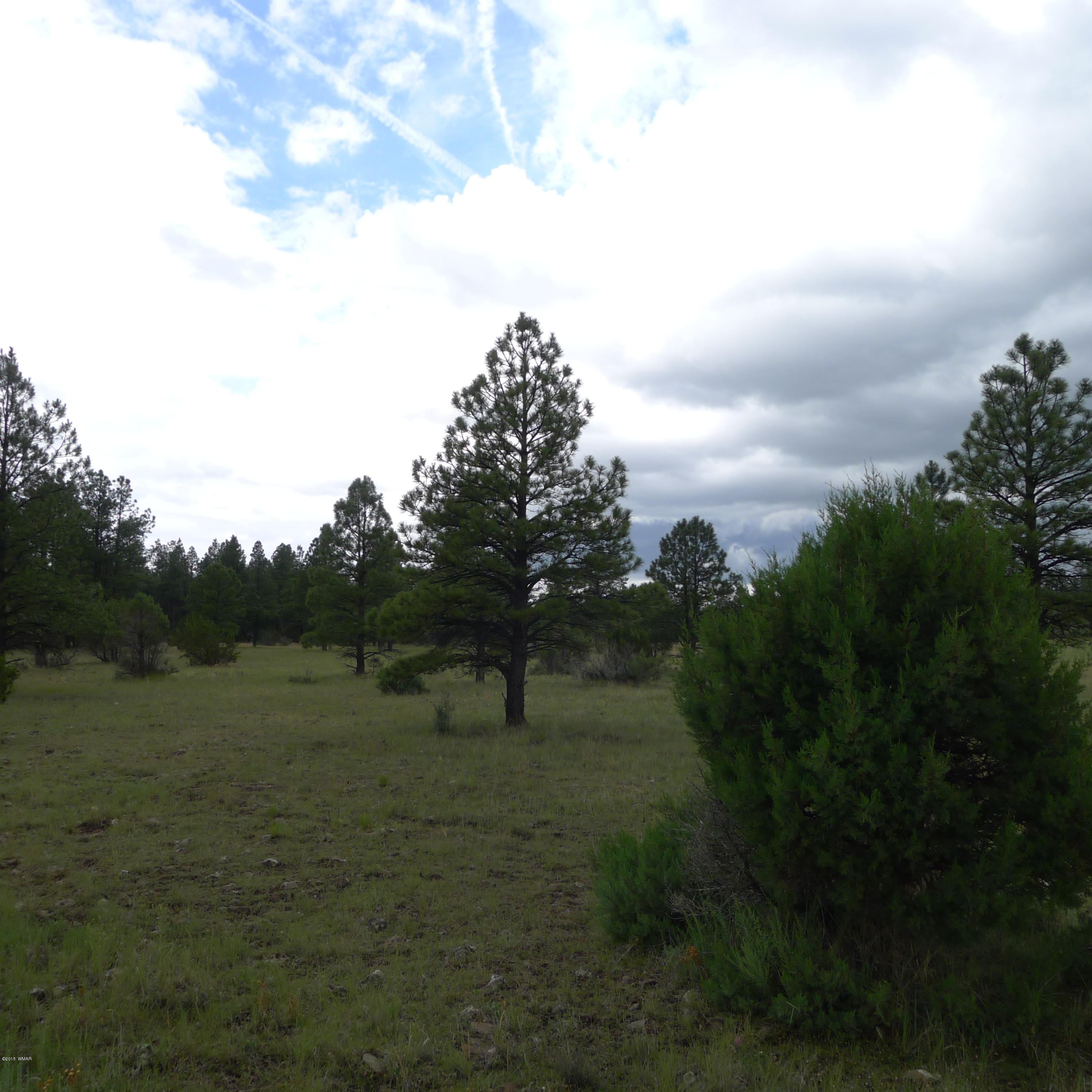 Lot B Thunderhorse Road Pinetop, AZ 85935 - Photo 3 of 3