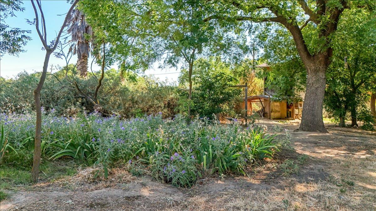 28937 Upper Road Newman, CA 95360 - Photo 46 of 58