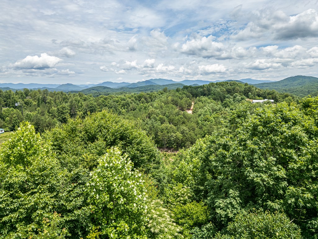 2 Stormy Ridge Brasstown, NC 28902 - Photo 10 of 16