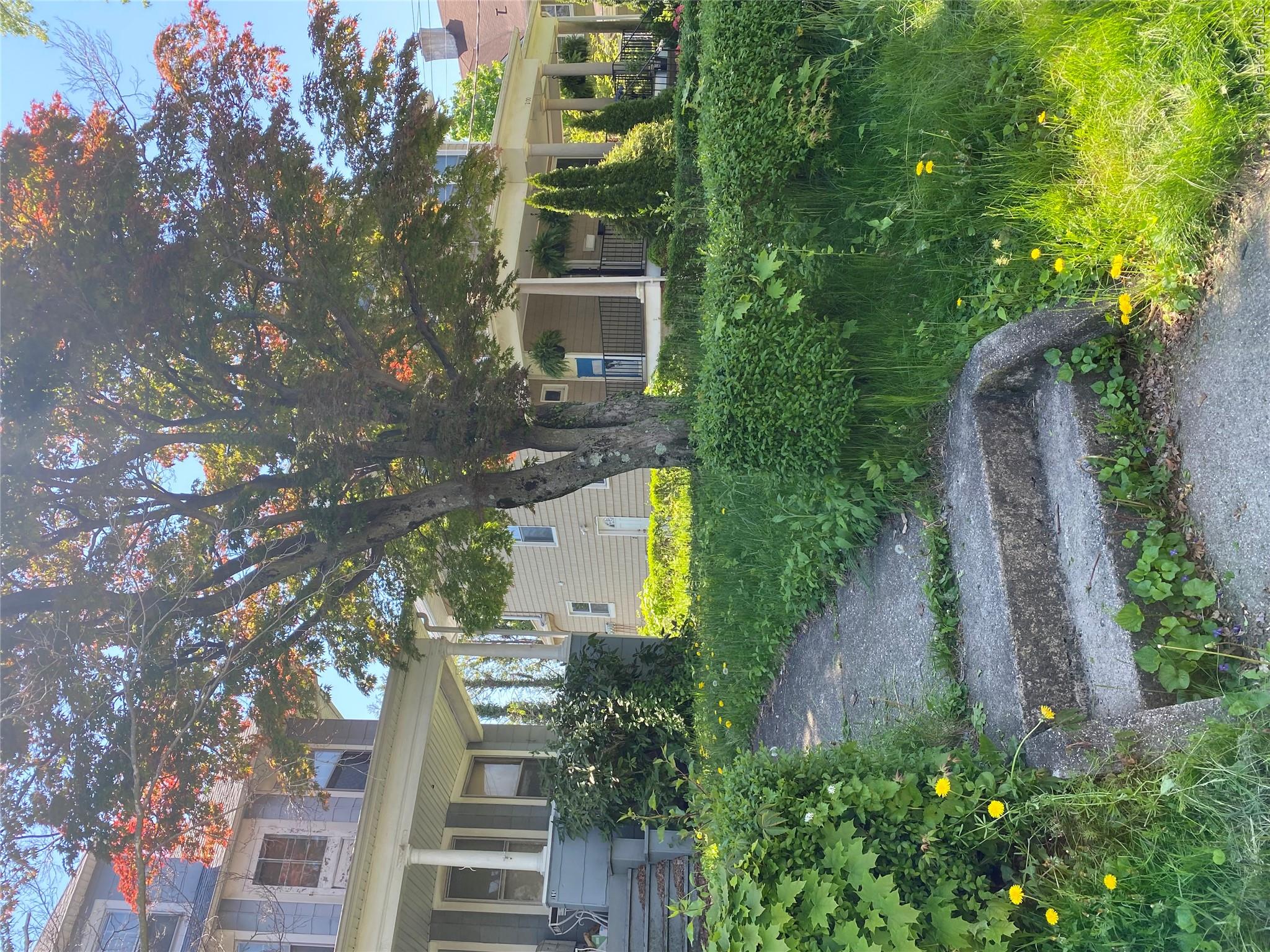 196 Elm Street New Rochelle, NY 10805 - Photo 2 of 5 a front view of house with yard and green space