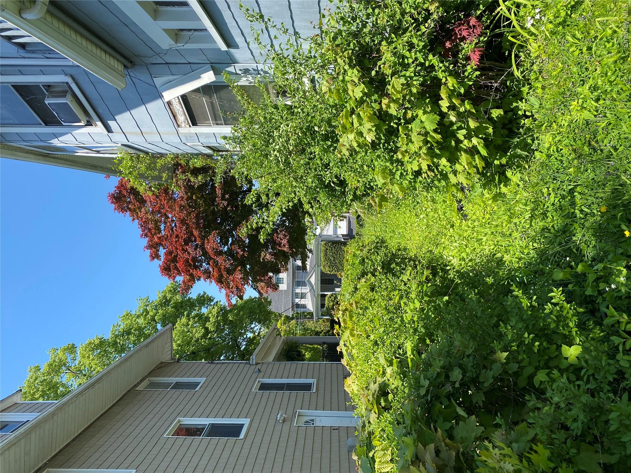 196 Elm Street New Rochelle, NY 10805 - Photo 3 of 5 a backyard of a house with lots of green space