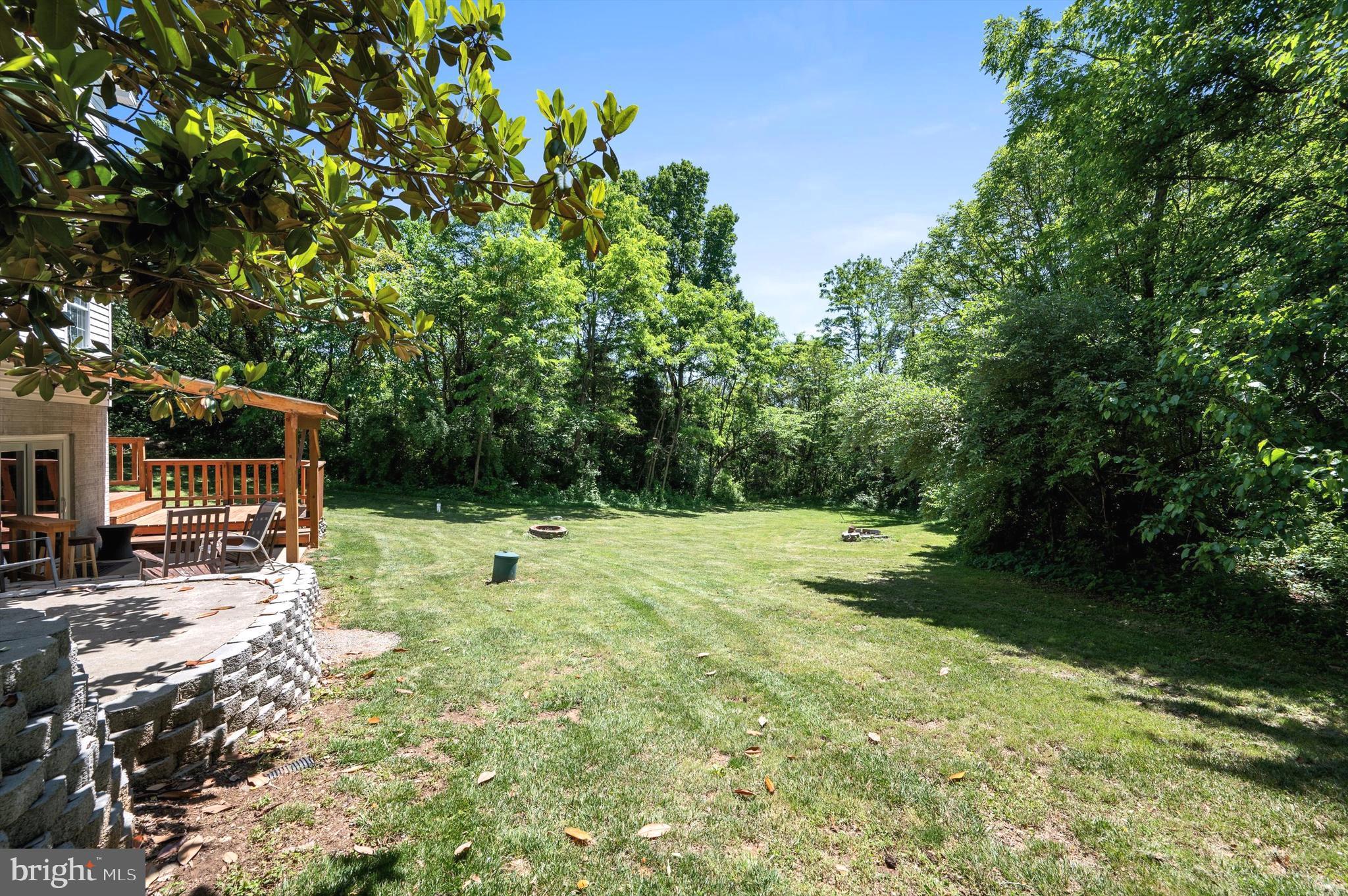 661 Germany Road Stephens City, VA 22655 - Photo 51 of 66 Open, yet private yard space