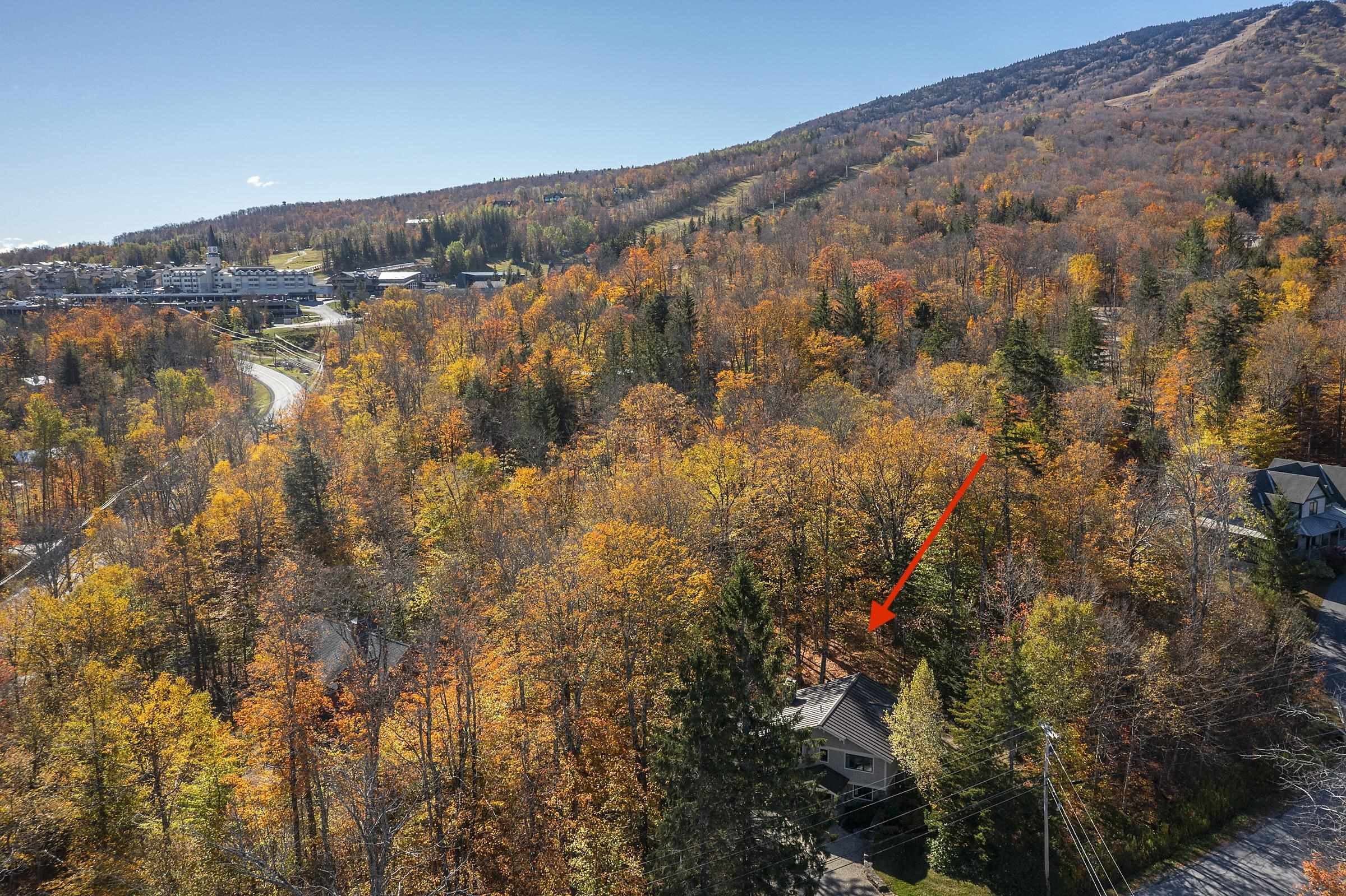 7 North Brookwood Road Winhall, VT 05340 - Photo 3 of 45