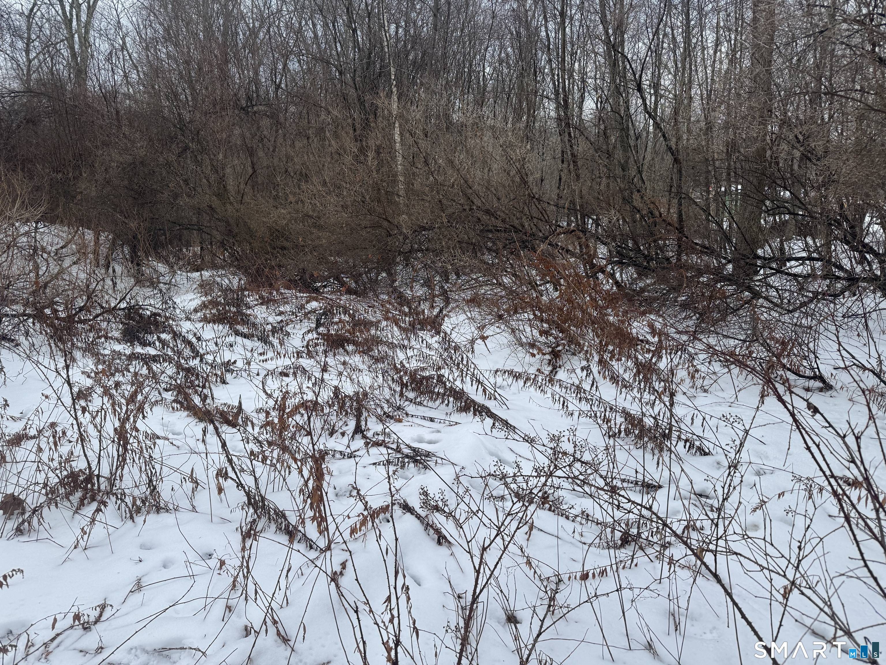 262 Stoddard Road Morris, CT 06763 - Photo 2 of 3