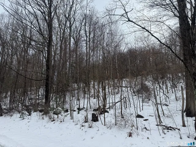 $129,900 | 262 Stoddard Road, Morris, CT 06763