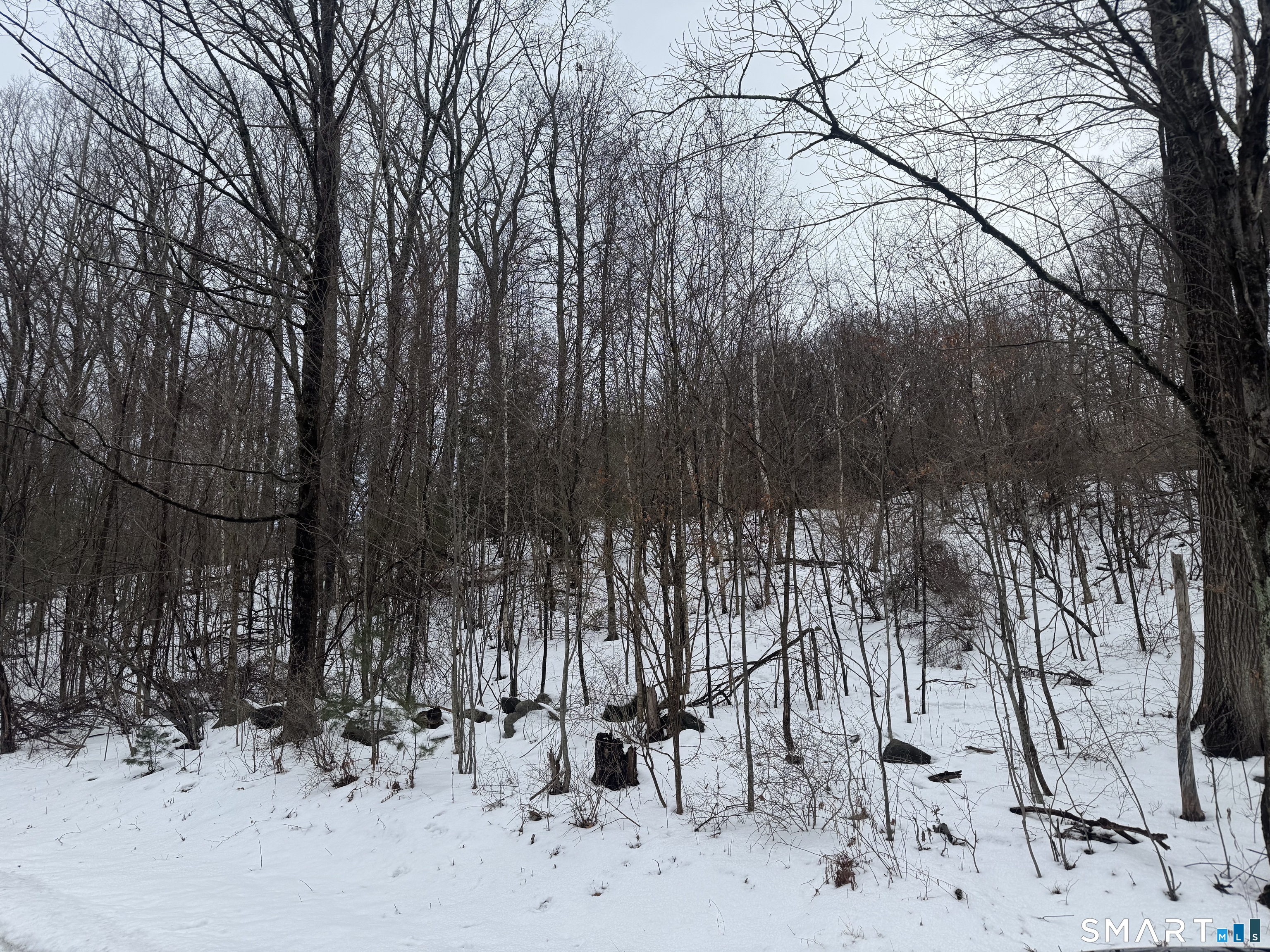 262 Stoddard Road Morris, CT 06763 - Photo 3 of 3