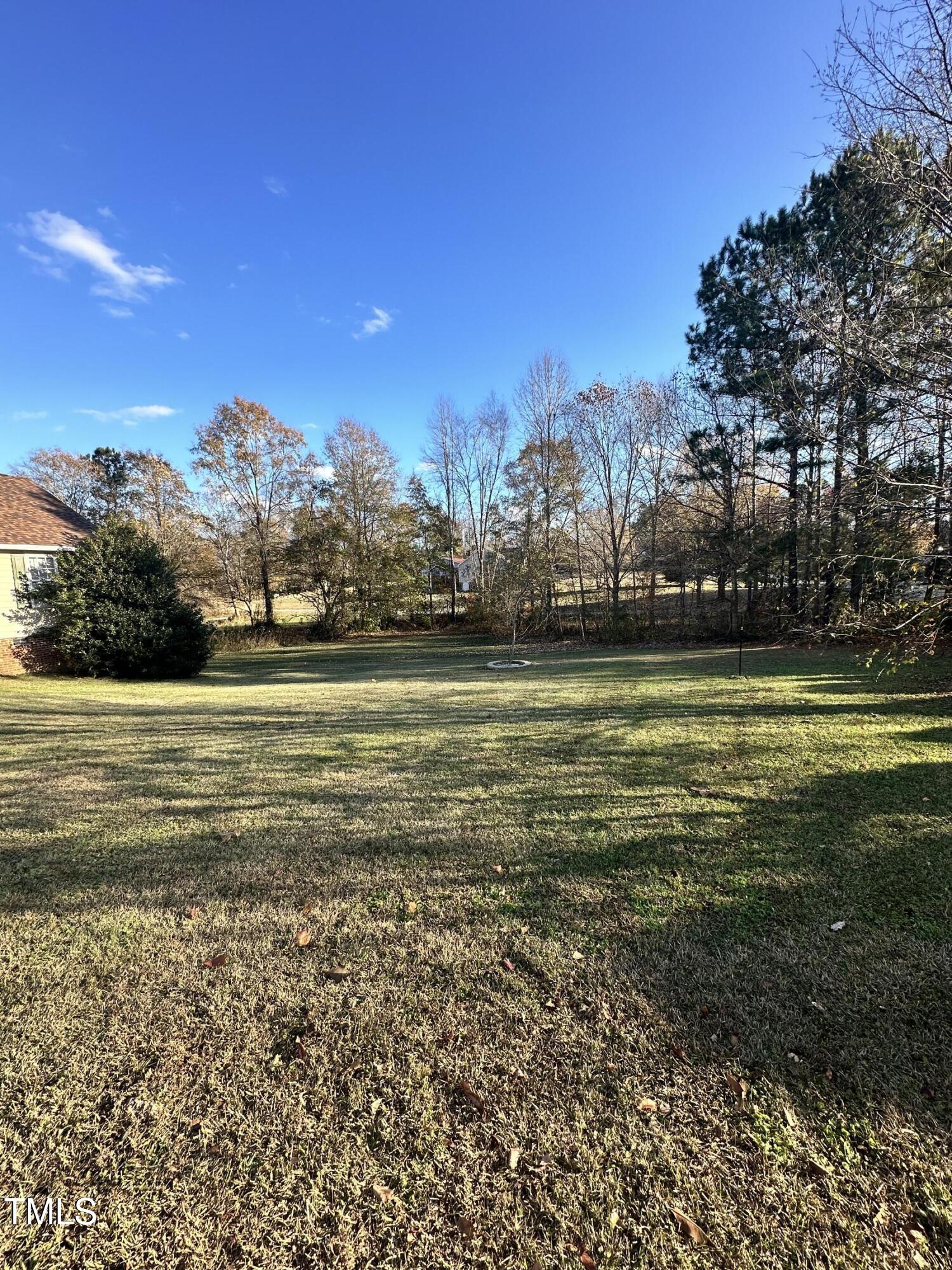 101 Holly Ranch Court Willow Spring, NC 27592 - Photo 17 of 20 Front Yard