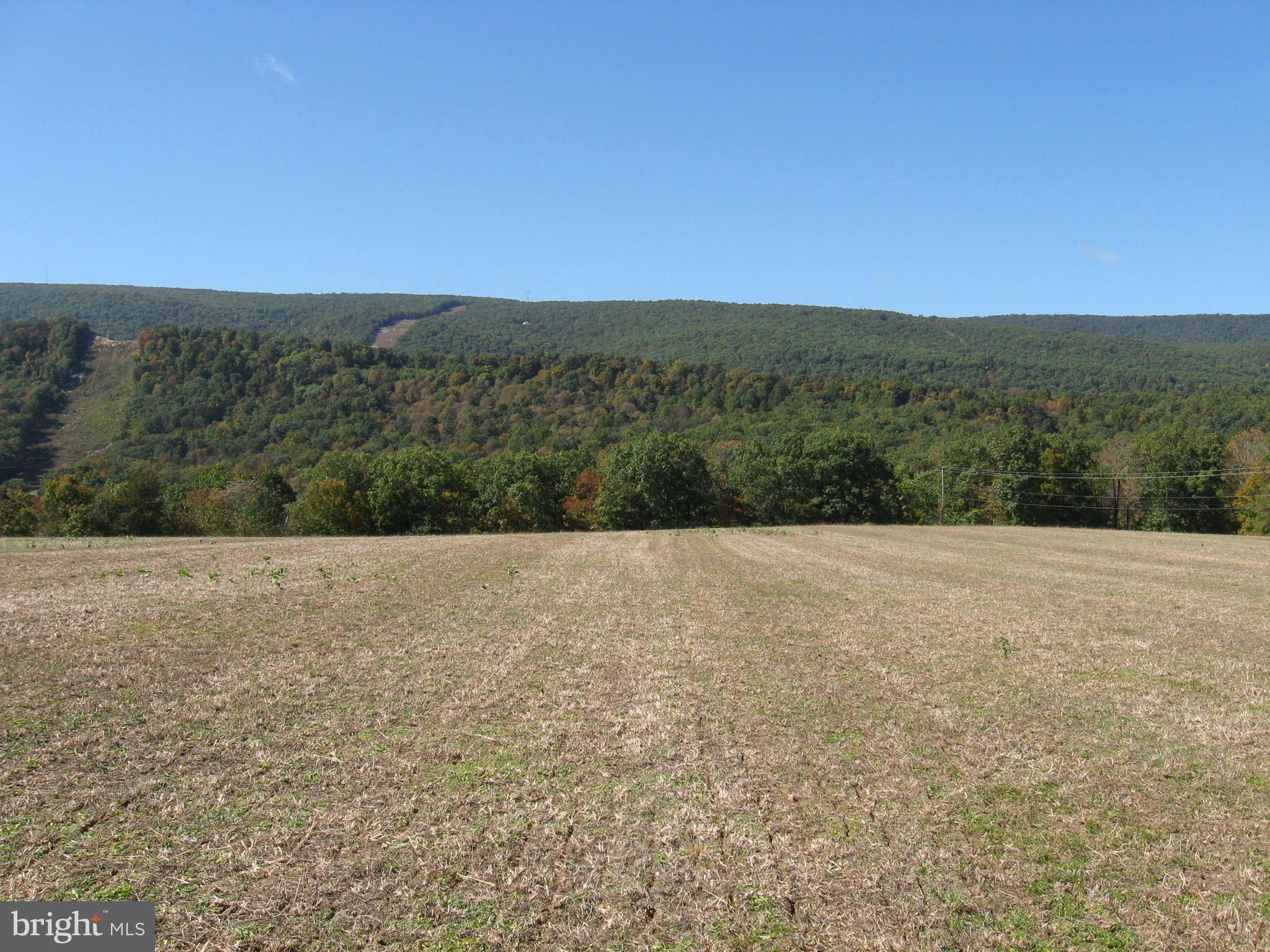 Fish Hatchery Road Berkeley Springs, WV 25411 - Photo 11 of 44 a view of a dry yard with trees