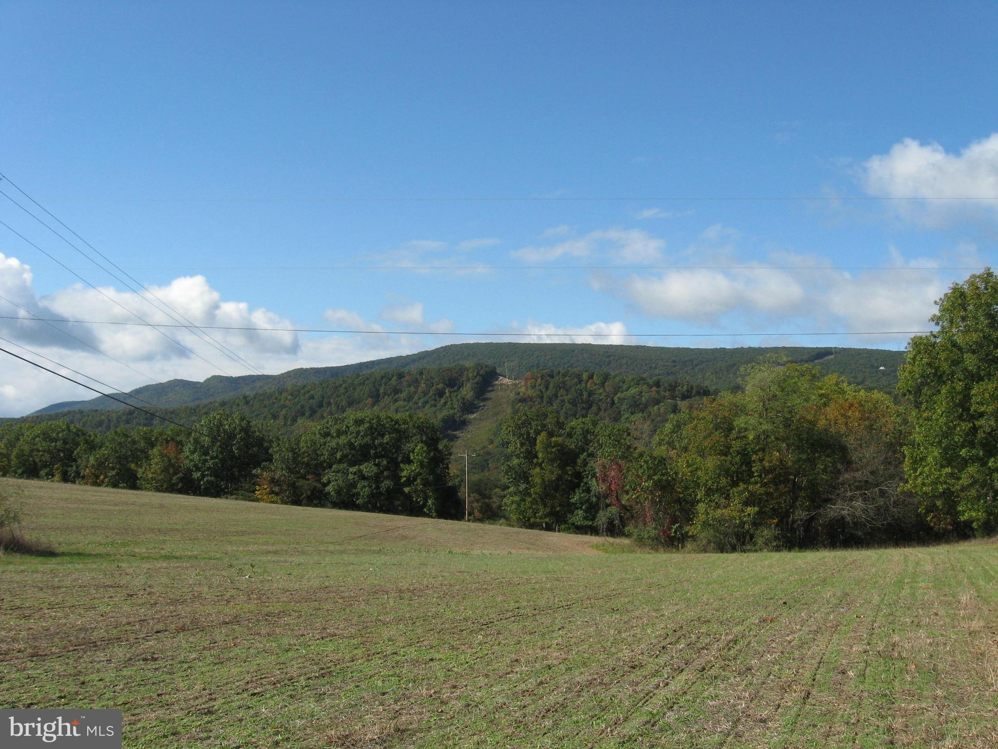 Fish Hatchery Road Berkeley Springs, WV 25411 - Photo 15 of 44 a view of a field with an ocean