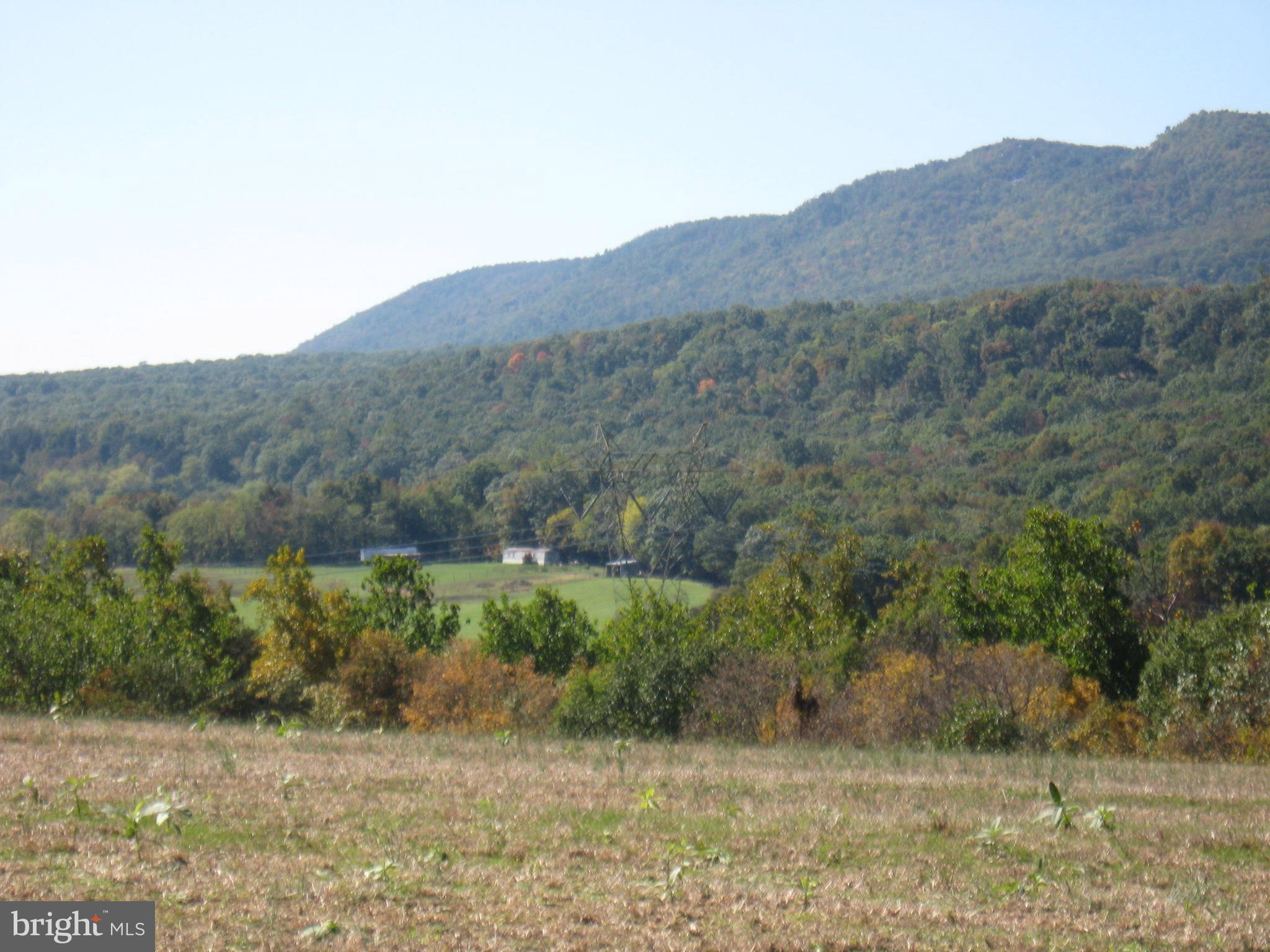 Fish Hatchery Road Berkeley Springs, WV 25411 - Photo 3 of 44 a view of a dry field
