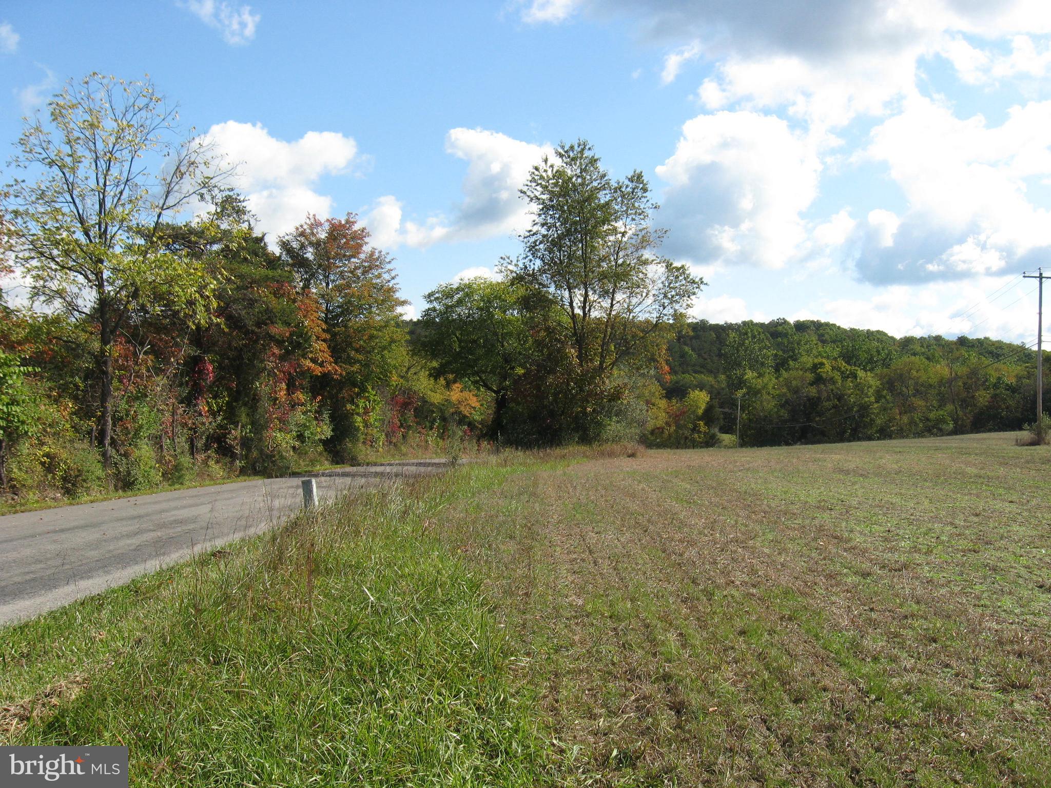 Fish Hatchery Road Berkeley Springs, WV 25411 - Photo 21 of 44 a view of a big yard with lots of green space and trampoline