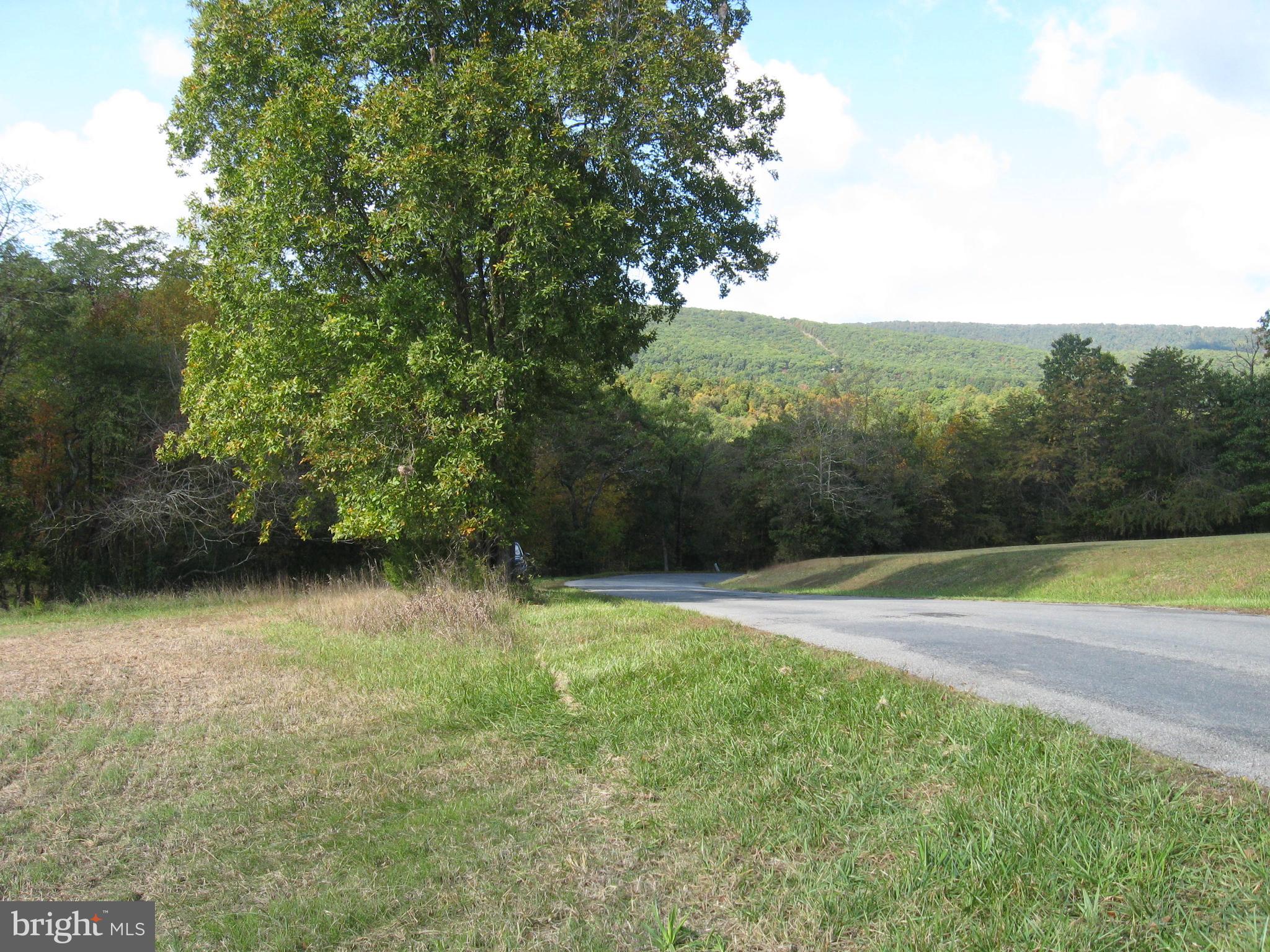 Fish Hatchery Road Berkeley Springs, WV 25411 - Photo 22 of 44 a view of a yard with a tree