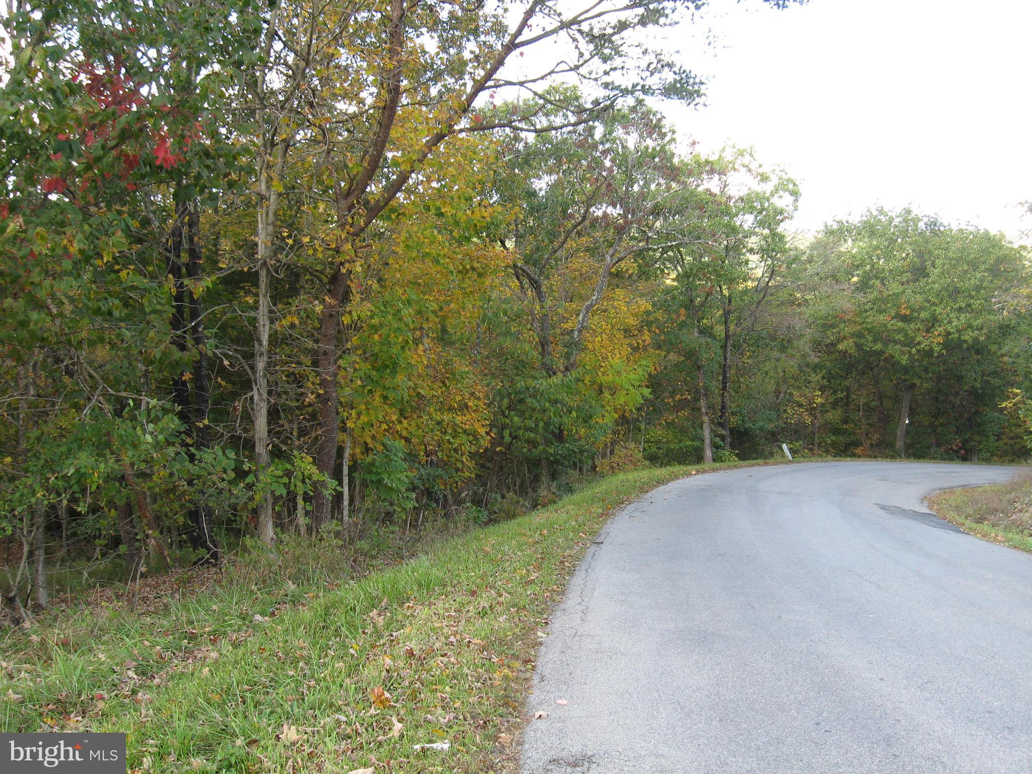 Fish Hatchery Road Berkeley Springs, WV 25411 - Photo 24 of 44 a view of a garden with trees