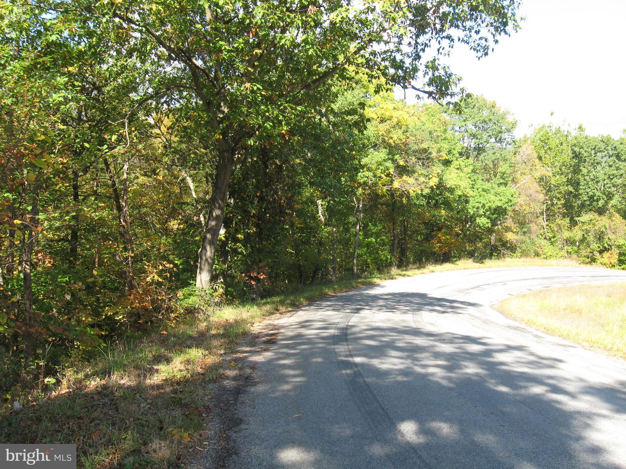 Fish Hatchery Road Berkeley Springs, WV 25411 - Photo 26 of 44 a view of a yard with a tree