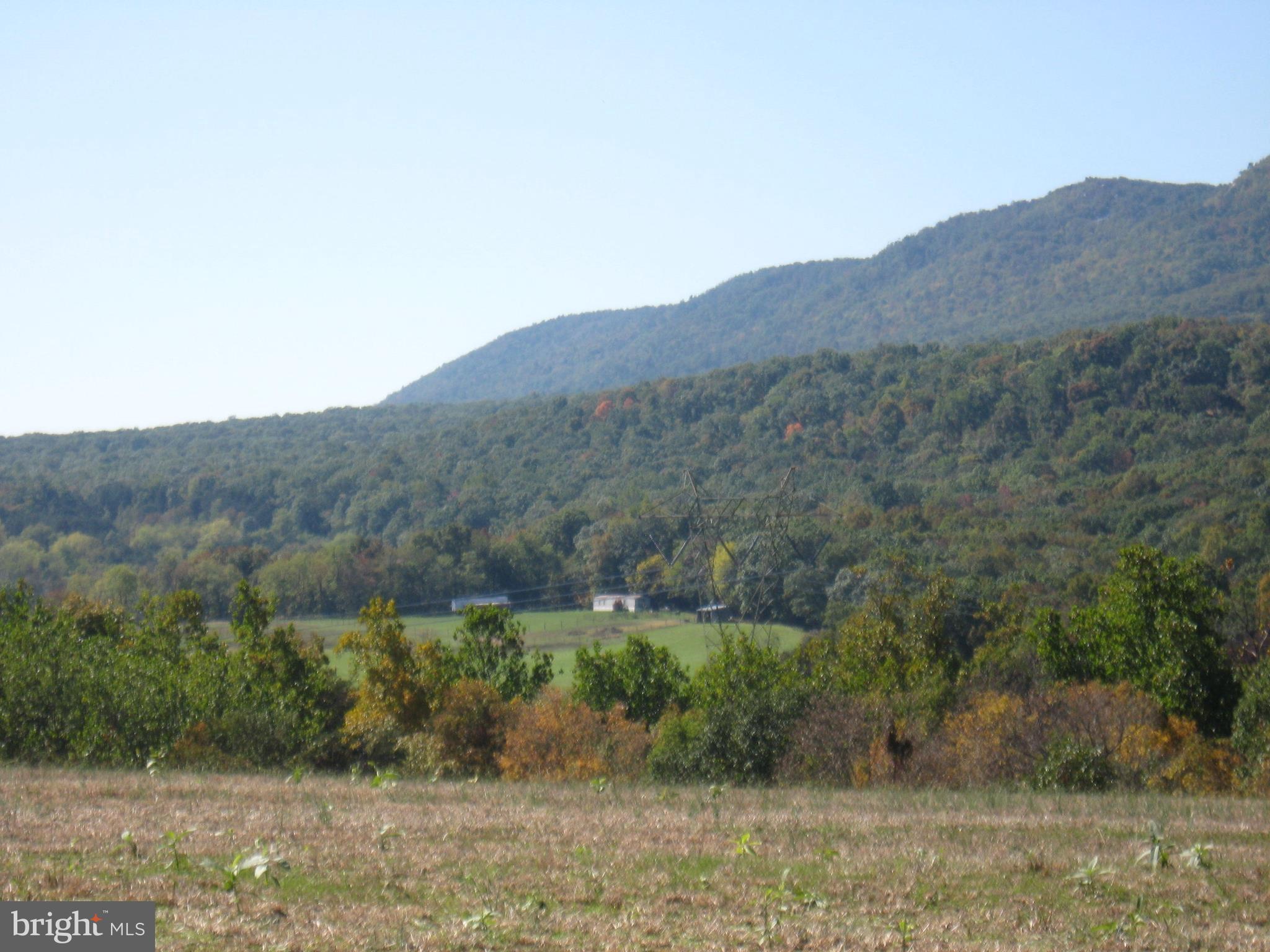 Fish Hatchery Road Berkeley Springs, WV 25411 - Photo 4 of 44 an aerial view of mountain with trees