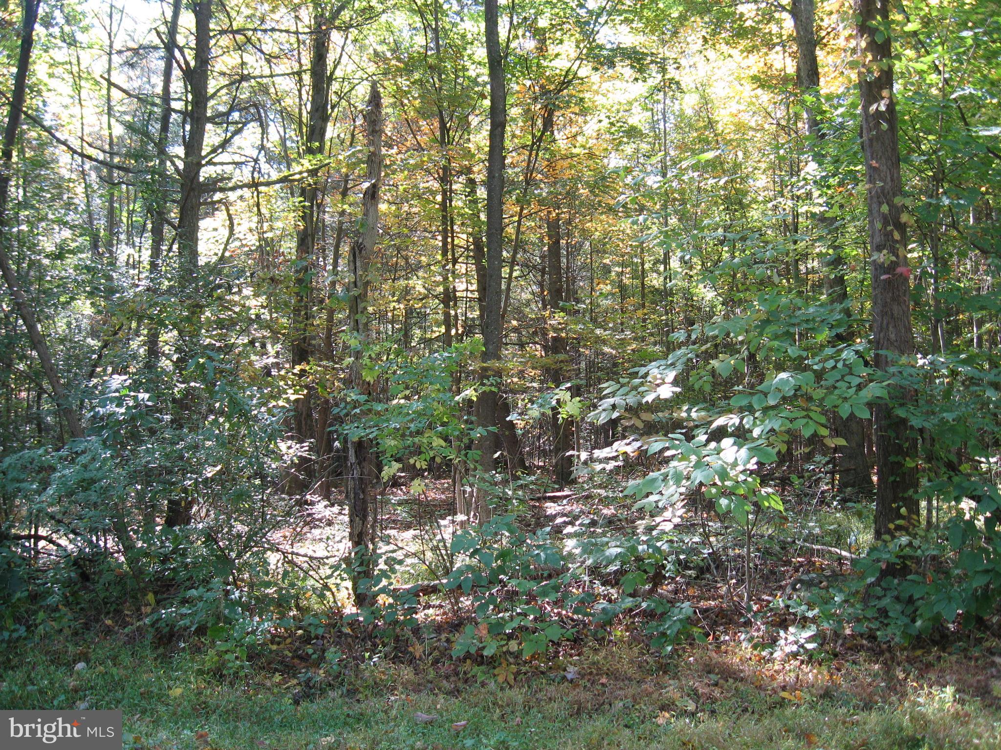Fish Hatchery Road Berkeley Springs, WV 25411 - Photo 35 of 44 a view of outdoor space
