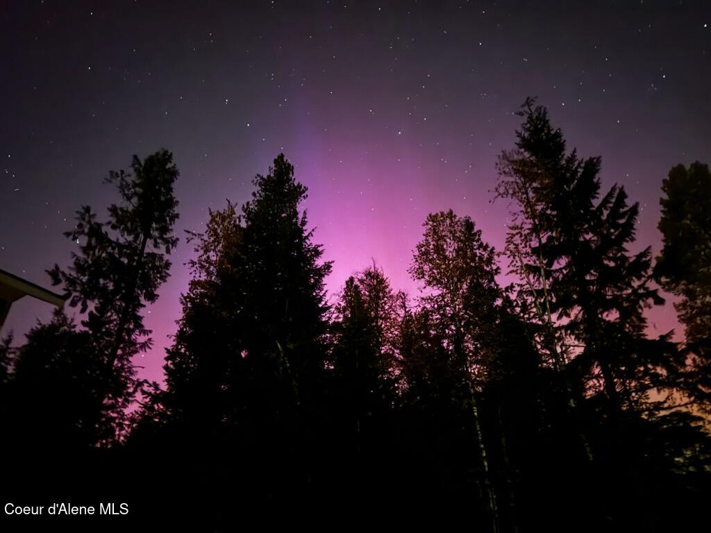 2727 Selkirk Road Sandpoint, ID 83864 - Photo 3 of 68 Northern Lights Selkirk