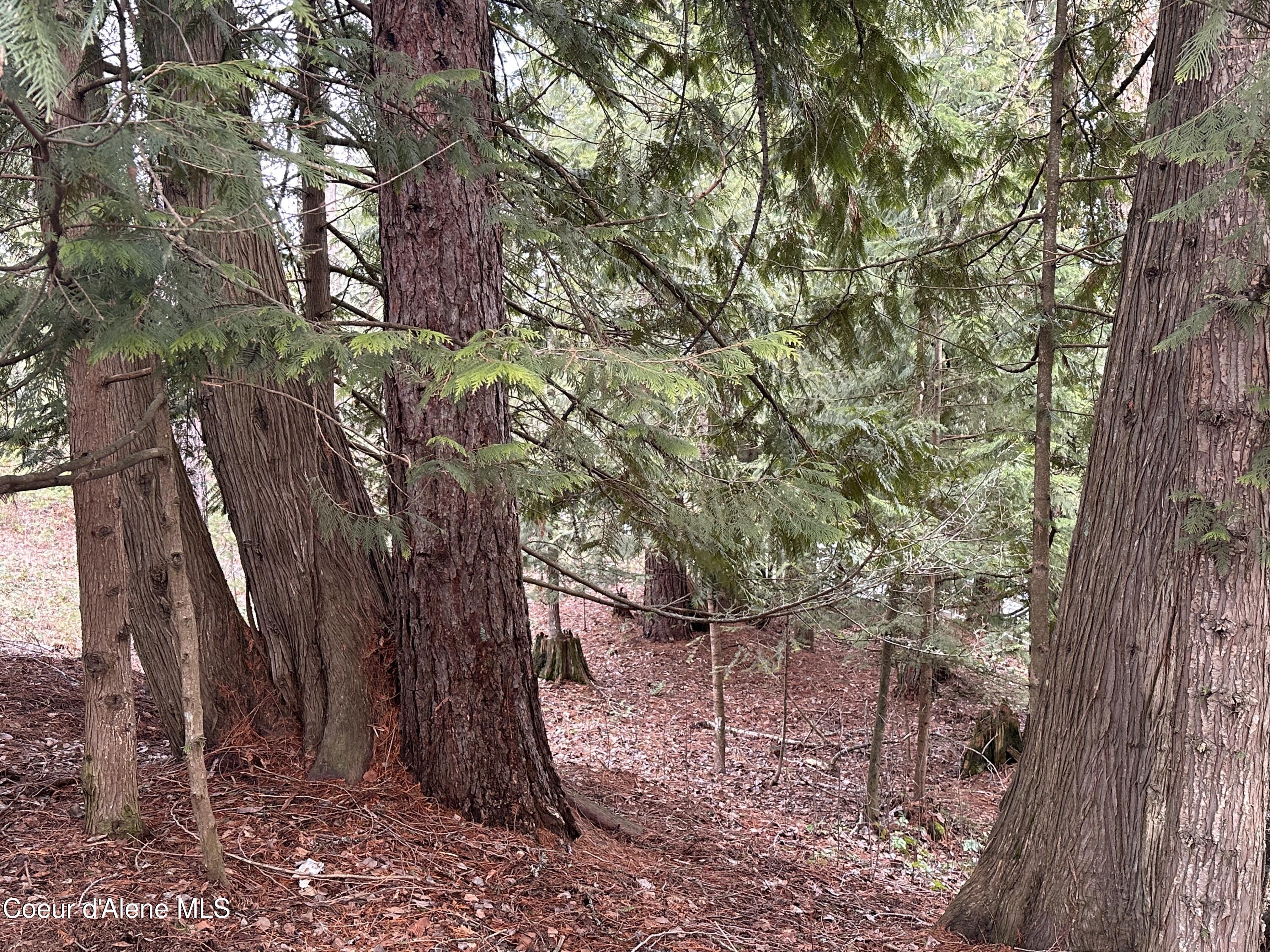 2727 Selkirk Road Sandpoint, ID 83864 - Photo 58 of 68 DowntoAcre