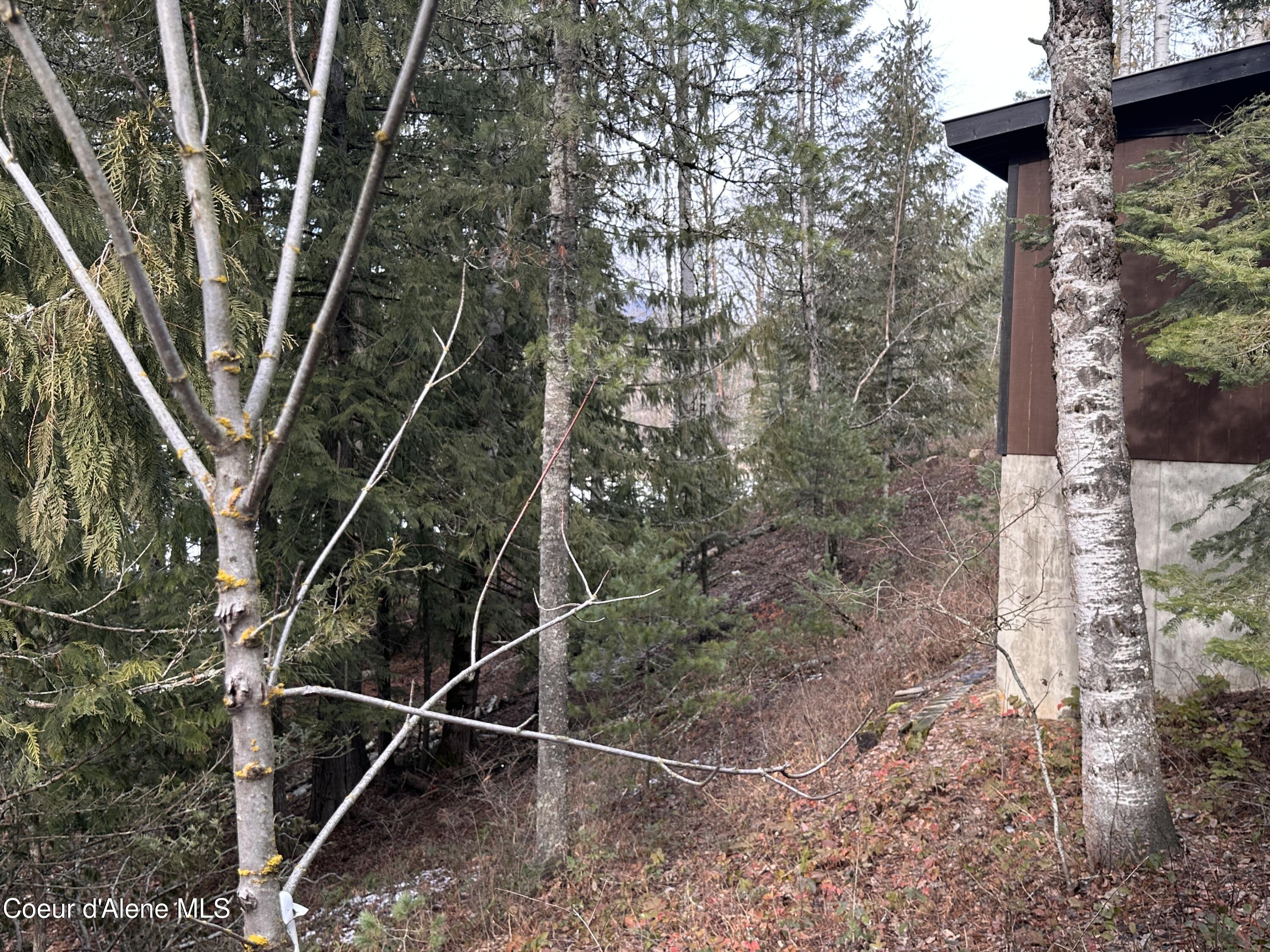 2727 Selkirk Road Sandpoint, ID 83864 - Photo 60 of 68 BehindGaragefromGarden