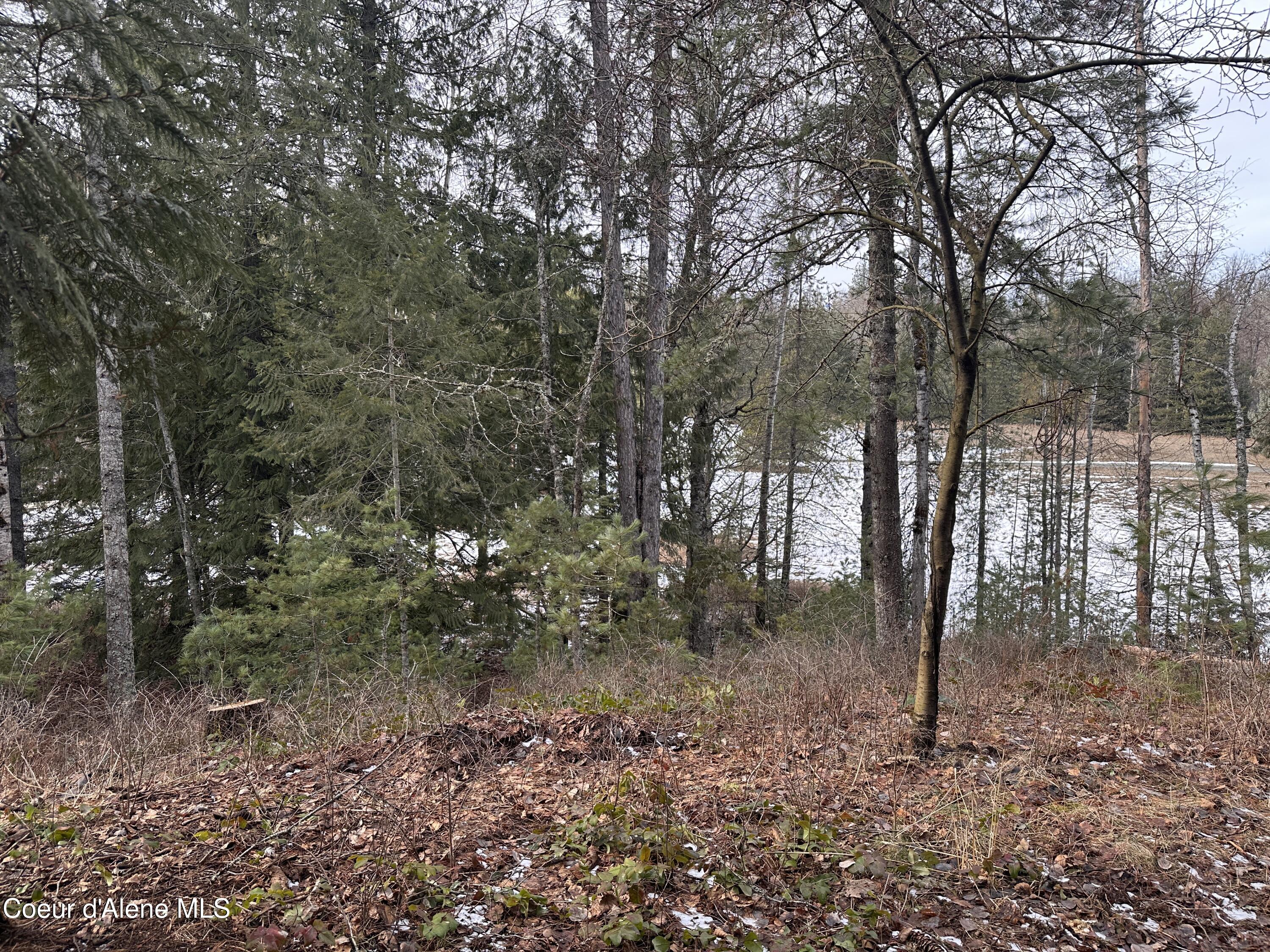 2727 Selkirk Road Sandpoint, ID 83864 - Photo 63 of 68 TreestoMeadow