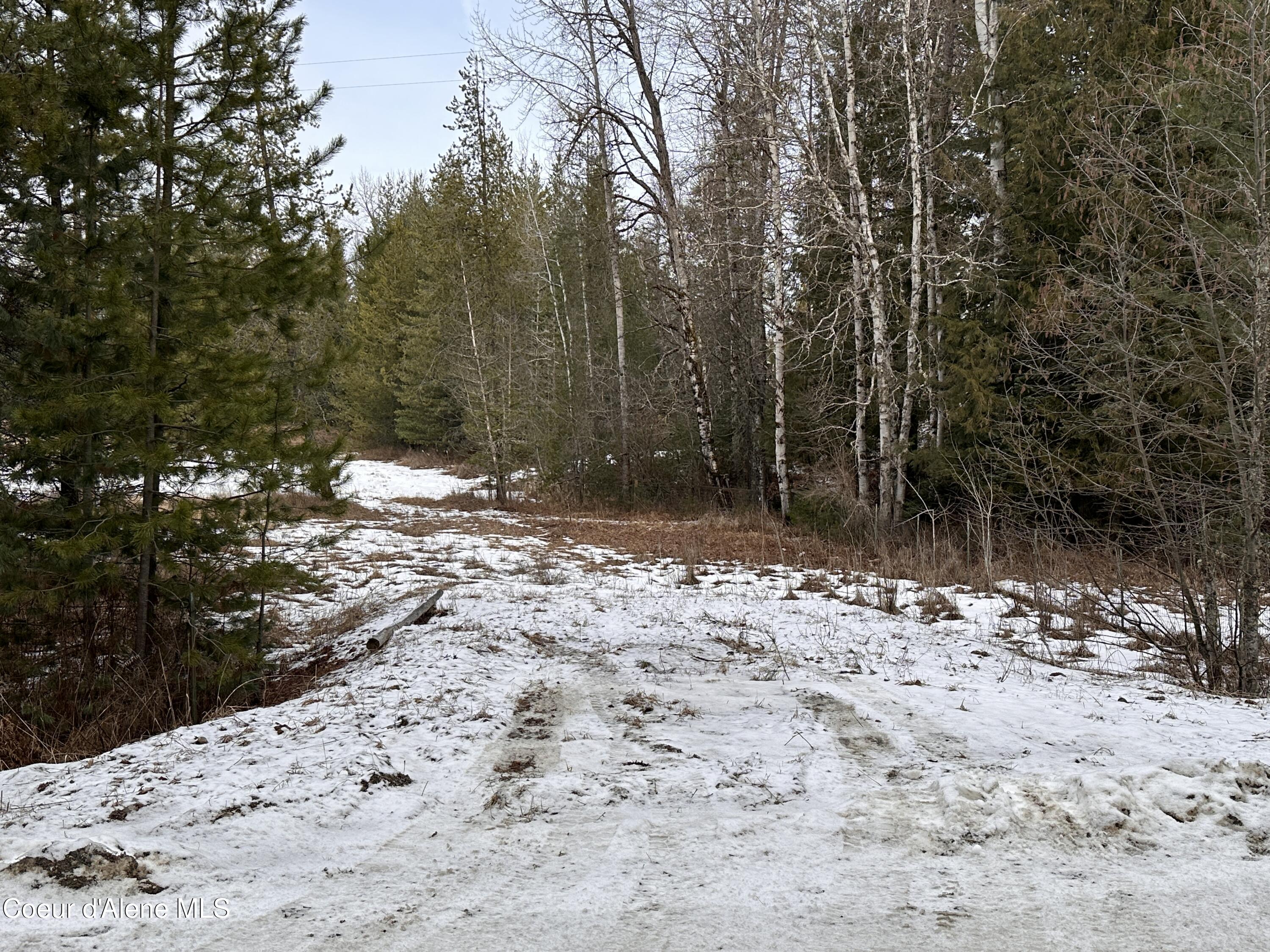 2727 Selkirk Road Sandpoint, ID 83864 - Photo 64 of 68 ParkingLowerAcre