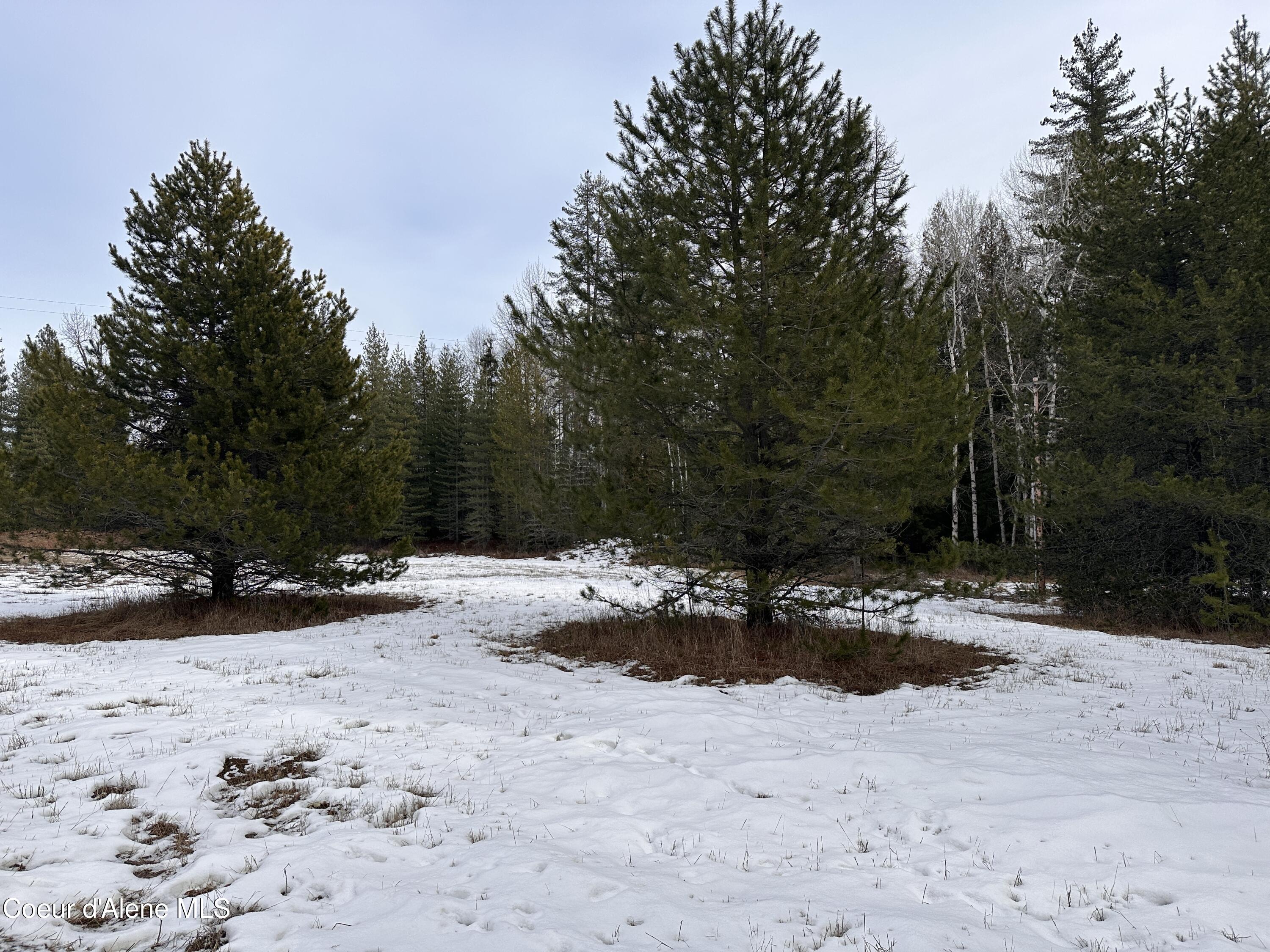 2727 Selkirk Road Sandpoint, ID 83864 - Photo 65 of 68 LowerAcreTrees