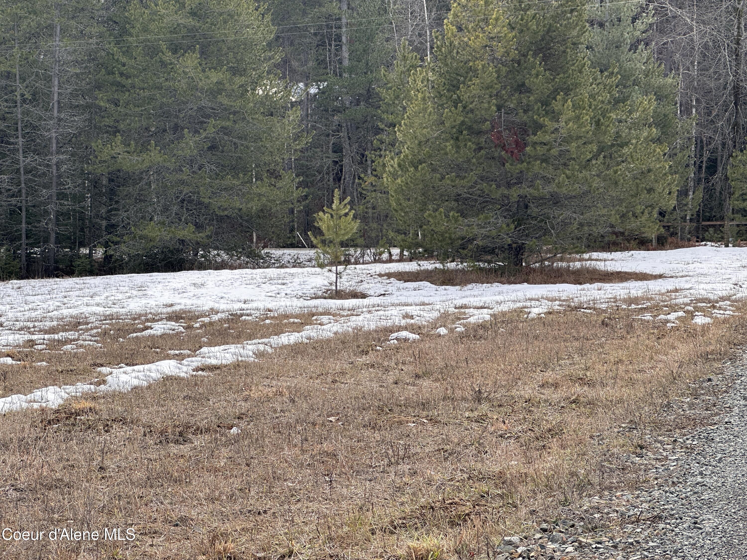 2727 Selkirk Road Sandpoint, ID 83864 - Photo 67 of 68 LowerAcretoMiddle